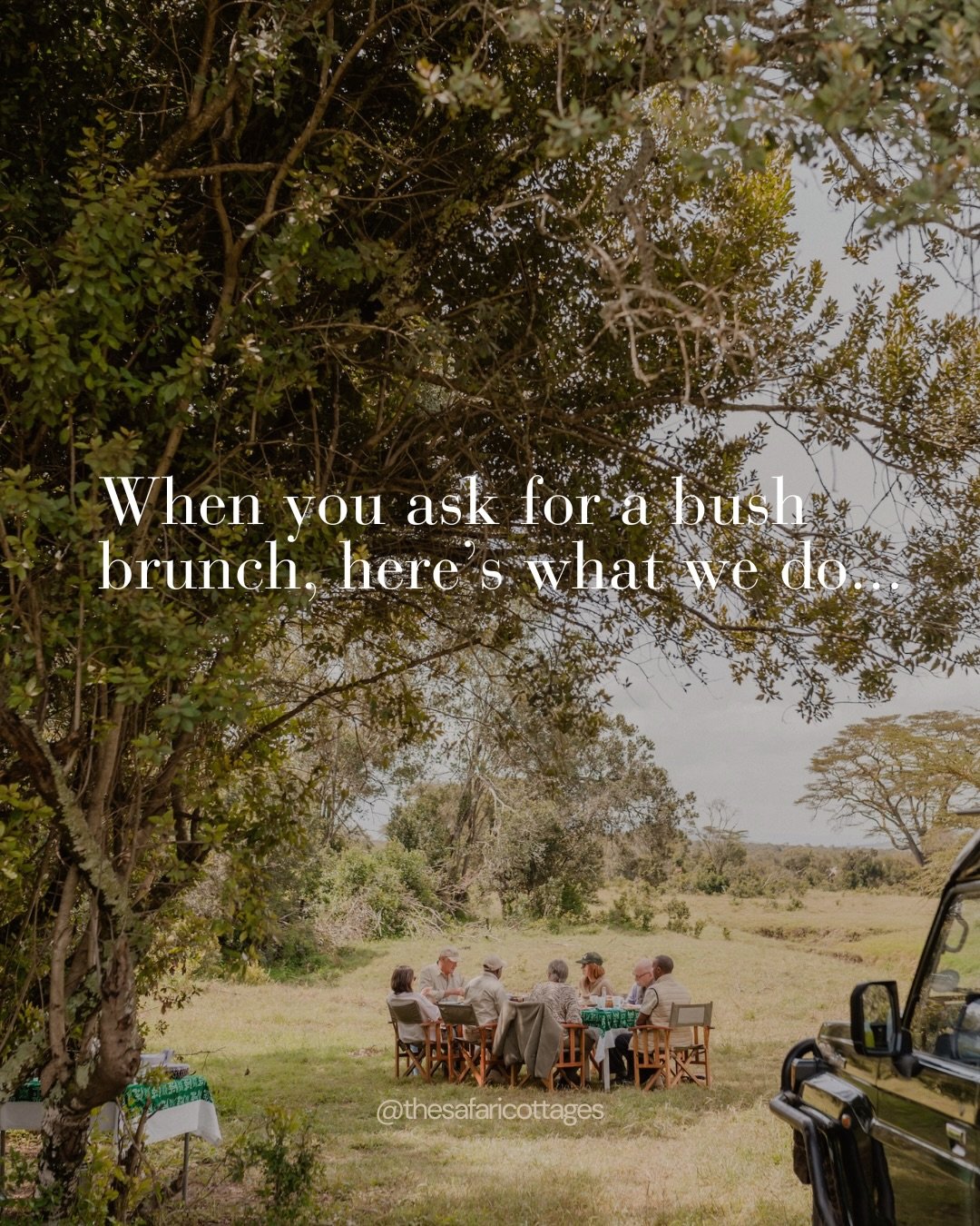 Bush Brunch 🍃 

Our favourite way to see out the encroaching heat of the day is to pull up a chair under an acacia by the river, pour a cup of coffee and watch the world unfolding around us. 

This very special experience is one we do our best to ac