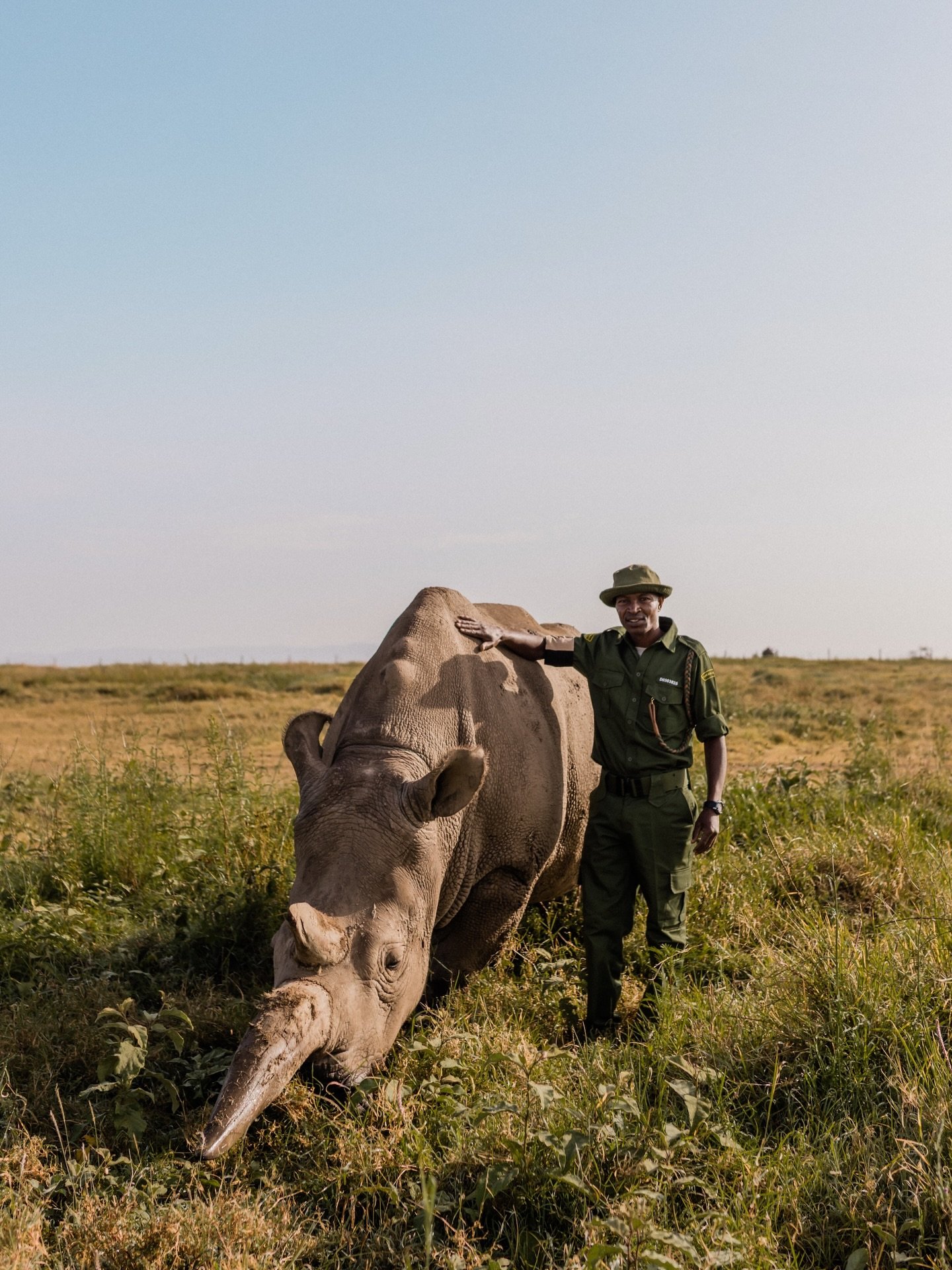 Two. That&rsquo;s how many Northern White Rhinos are left on our planet. Their names are Najin and Fatu and they are cared for right here on Ol Pejeta, just a short drive from The Safari Cottages. 

Visiting them is a unique opportunity to witness hi