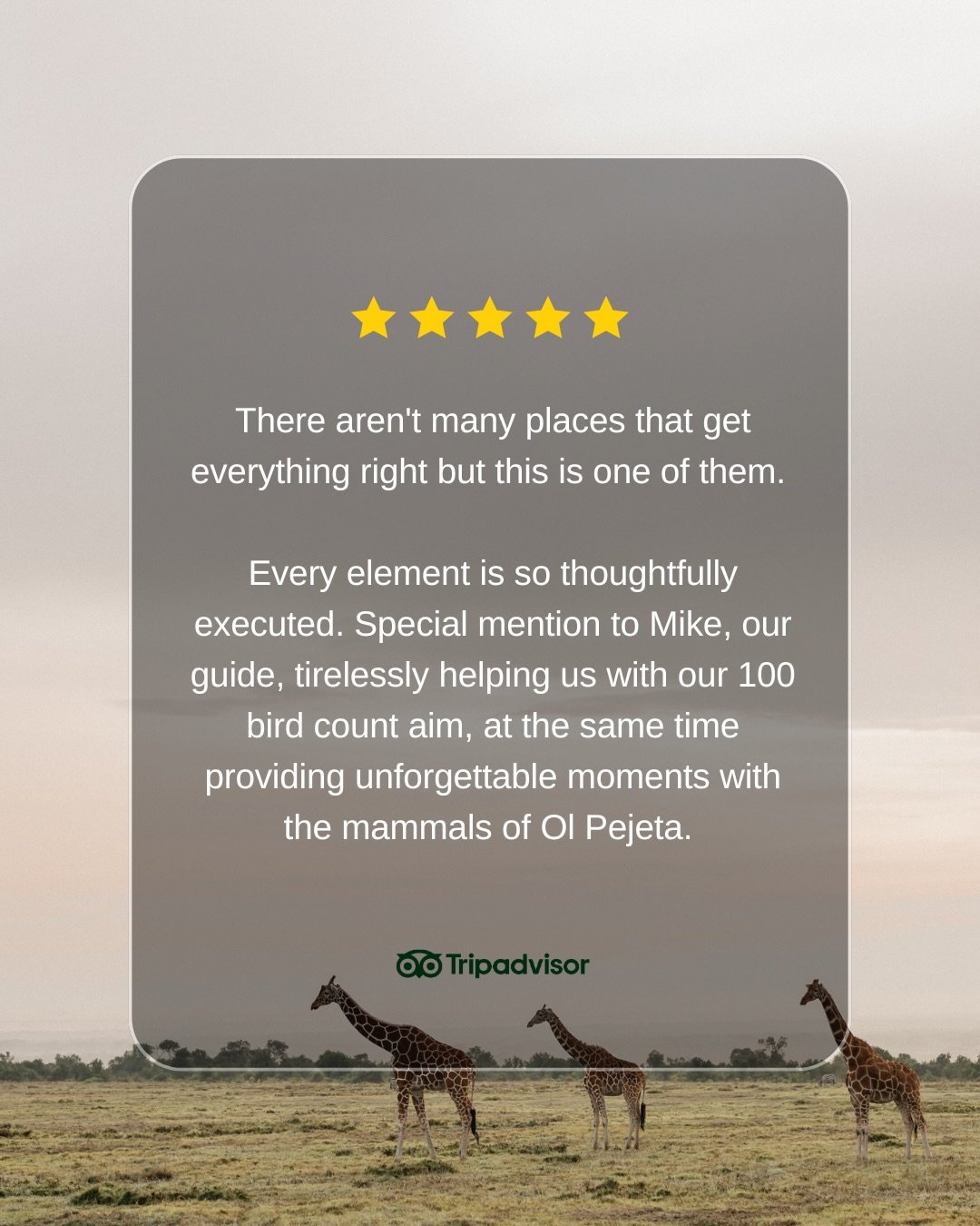 Here&rsquo;s what you&rsquo;ve been saying about us recently 🙏🏻

.

#kenyasafari #olpejeta #familytravel #lovelaikipia