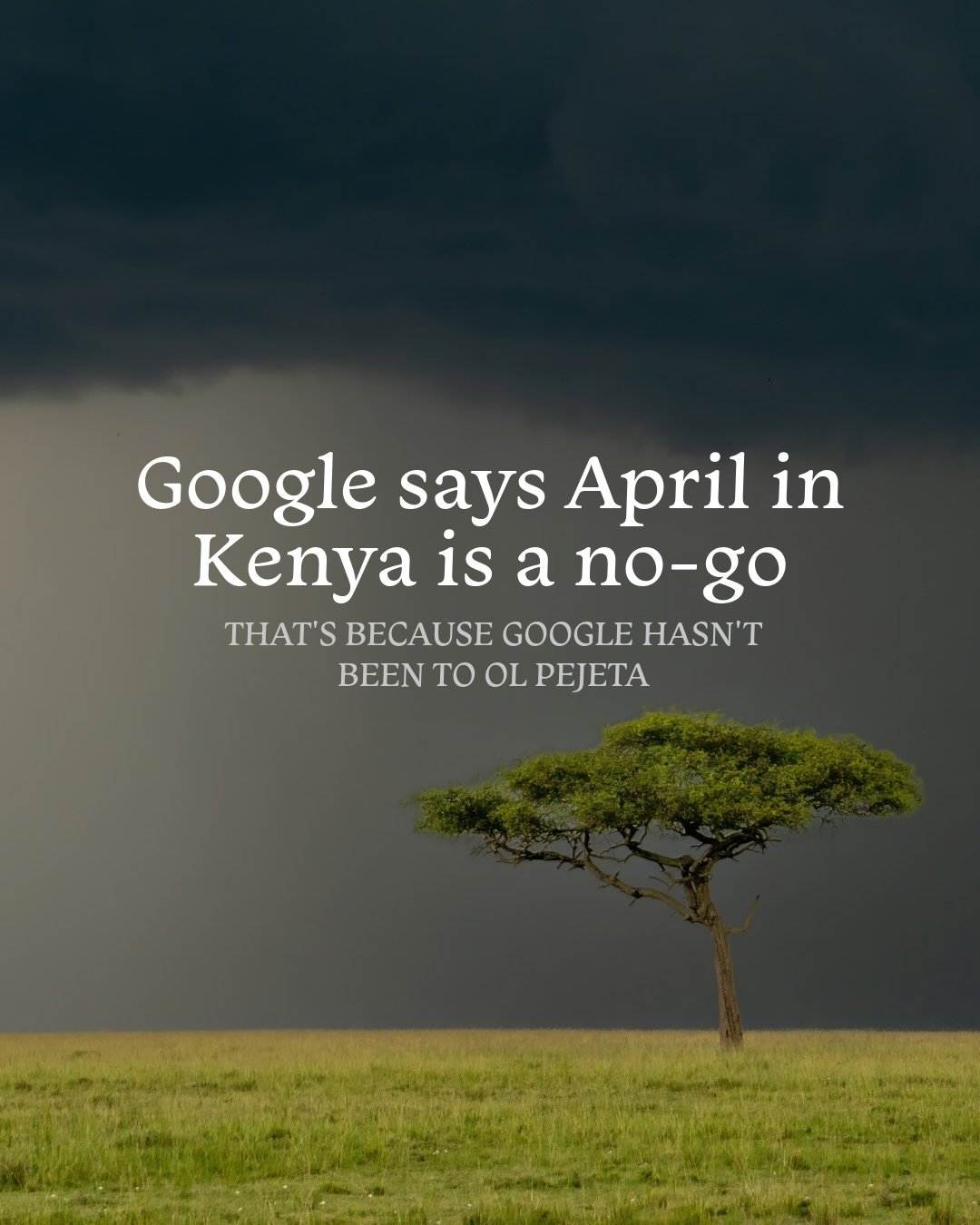 🌦️ With the early and dramatic arrival of the rainy season at the start of March we've been chatting a lot about the fascinating shifts in global weather patterns, and it's becoming very clear that Kenya's wet and dry seasons are not as predictable 