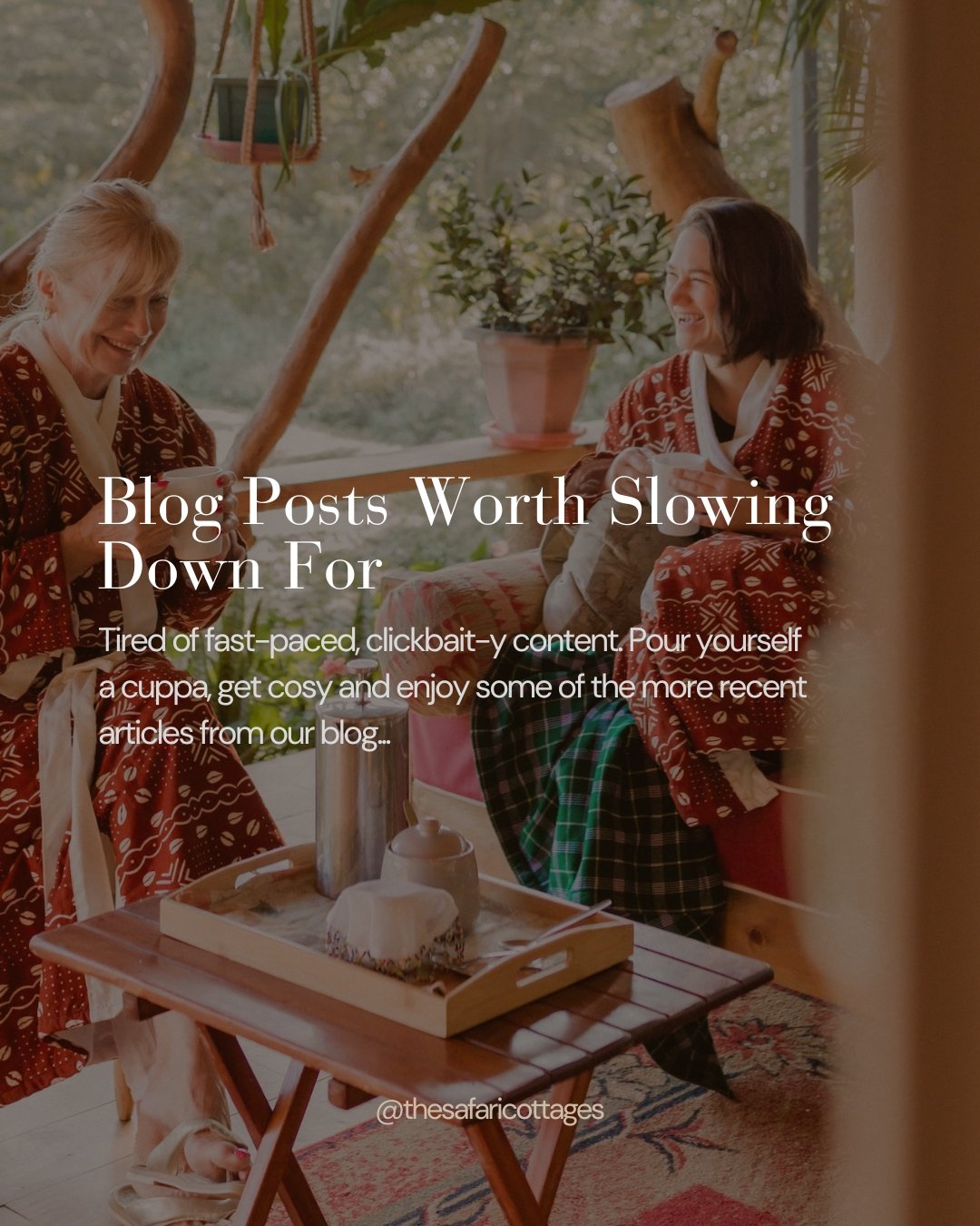 Ready to slow down? We are! 

Pour yourself something warm, find a comfortable corner, and settle in. We've been writing long-form blog posts about life on Ol Pejeta &mdash; the wildlife, the seasons, the stories behind the conservancy &mdash; for an