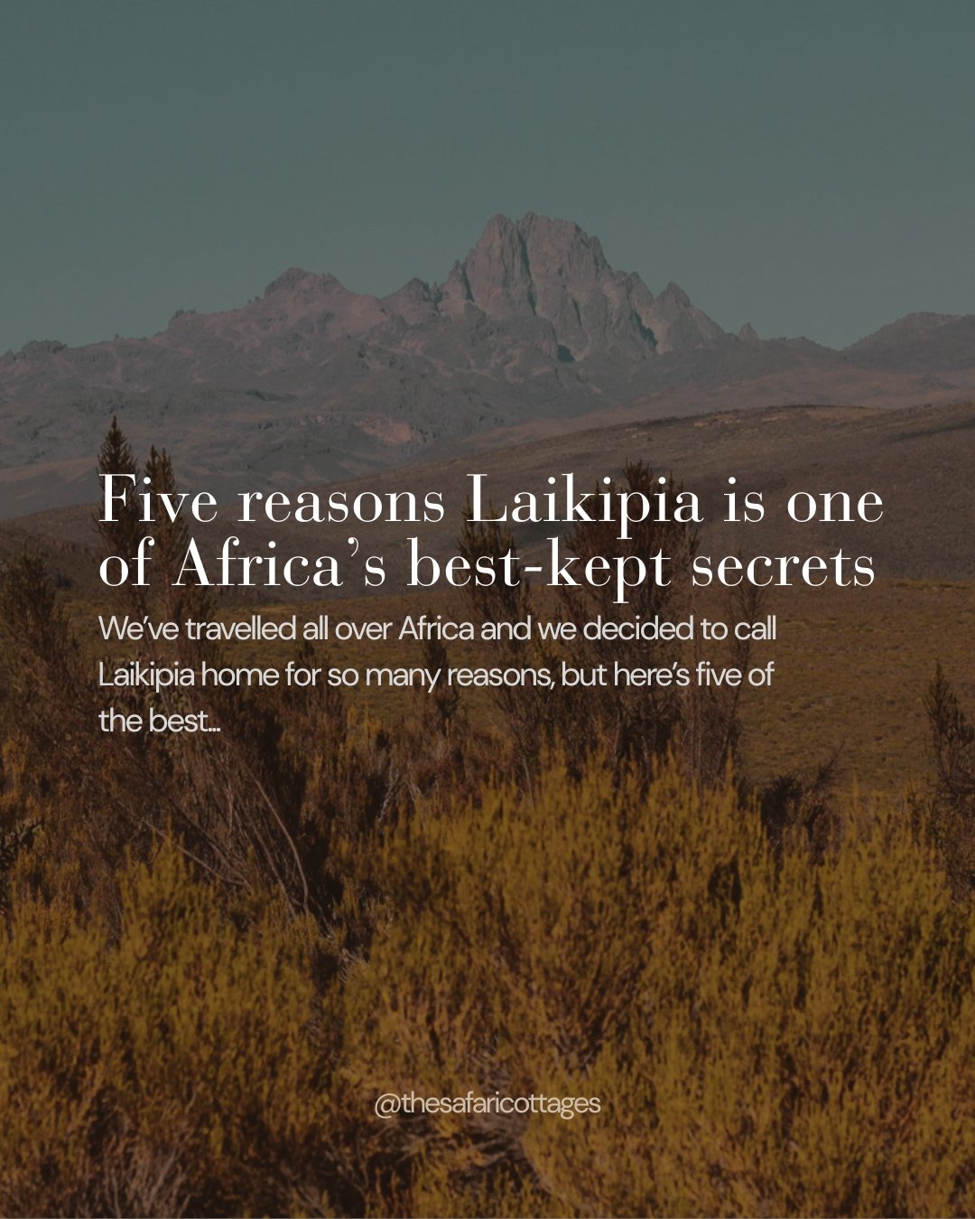 Ol Pejeta sits in the heart of Laikipia &mdash; one of Kenya's most extraordinary and extraordinarily quiet regions. It's thousands and thousands of kilometres of wild parks, privately managed conservancies, community ranches and forests and wildife 