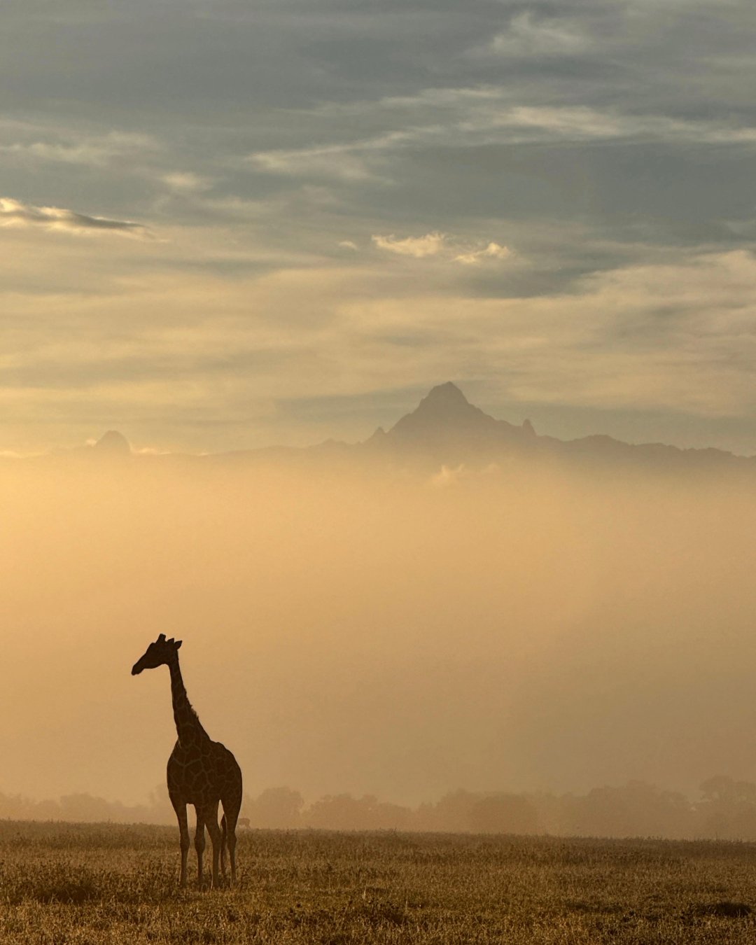 The peak on the horizon is Africa's second tallest mountain. 

The Kikuyu people call it Kirinyaga. Loosely translated it means "the Mountain of Brightness,&rdquo; and they have revered it for centuries as the earthly home of Ngai; god of creati