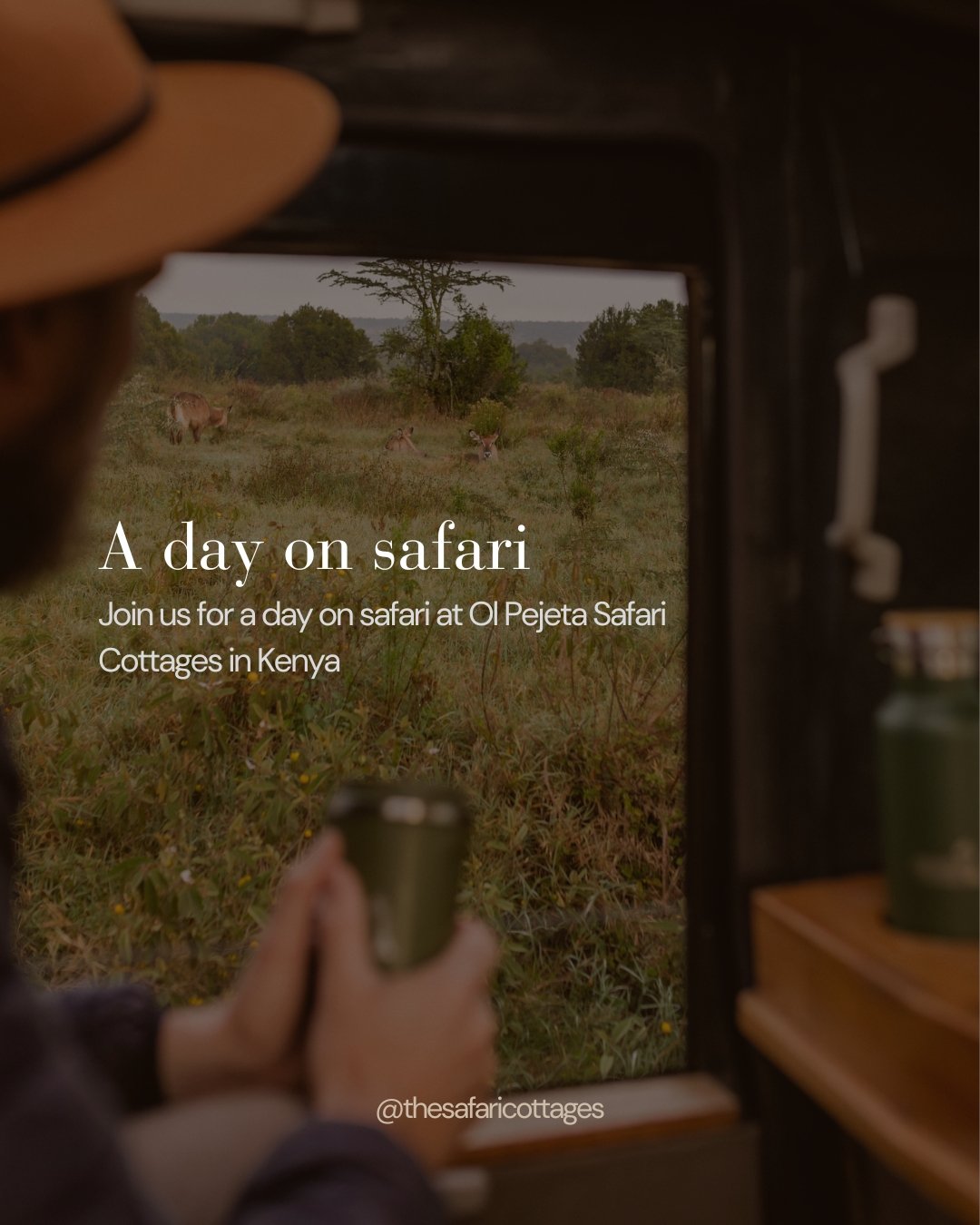 Every day is different and each holds it's own magic, but here's a little insight into what you can expect when you spend a day with us. 

.
#Kenya #KenyaSafari #PrivateSafari #OlPejeta #DayInTheLife