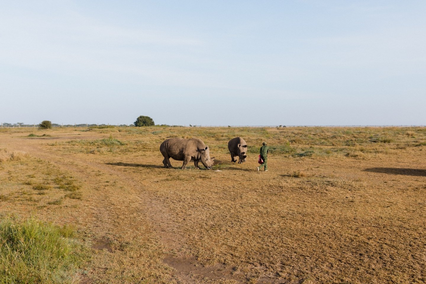 "The fact is that no species has ever had such wholesale control over everything on earth, living or dead, as we now have. That lays upon us, whether we like it or not, an awesome responsibility. In our hands now lies not only our own future, bu