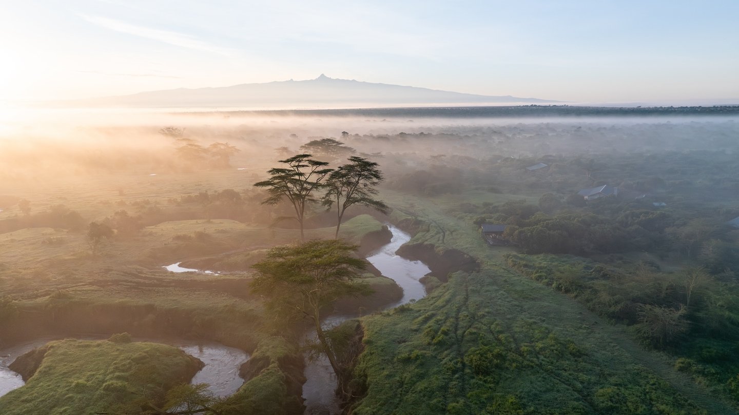 The dry season is upon us! The sky is clearing, the grass is being grazed back and the buzz of the busy season is growing.

There's a tendency in safari planning to treat June as a waiting room &mdash; a month to get through on the way to the "p