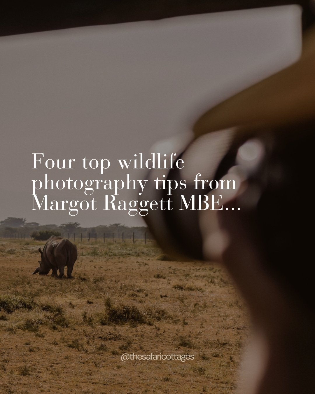 We wanted to share some helpful photography tips for your next visit to Ol Pejeta but, whilst our team certainly can take a decent picture or two, we thought it would be best to get the low-down from a much-loved regular guest to The Safari Cottages 