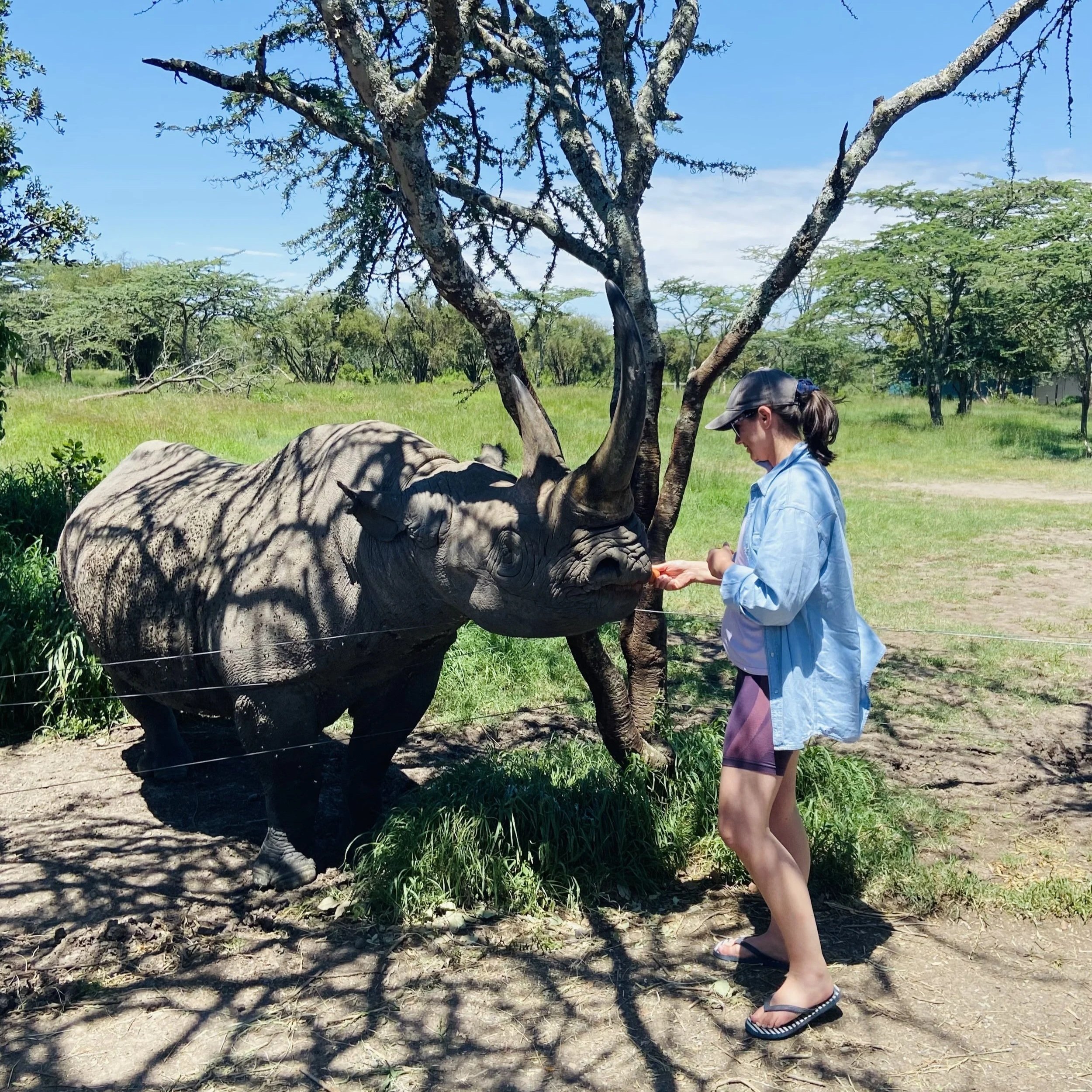 Kat from Yoga for the Wild meets Baraka. the rescued black rhino
