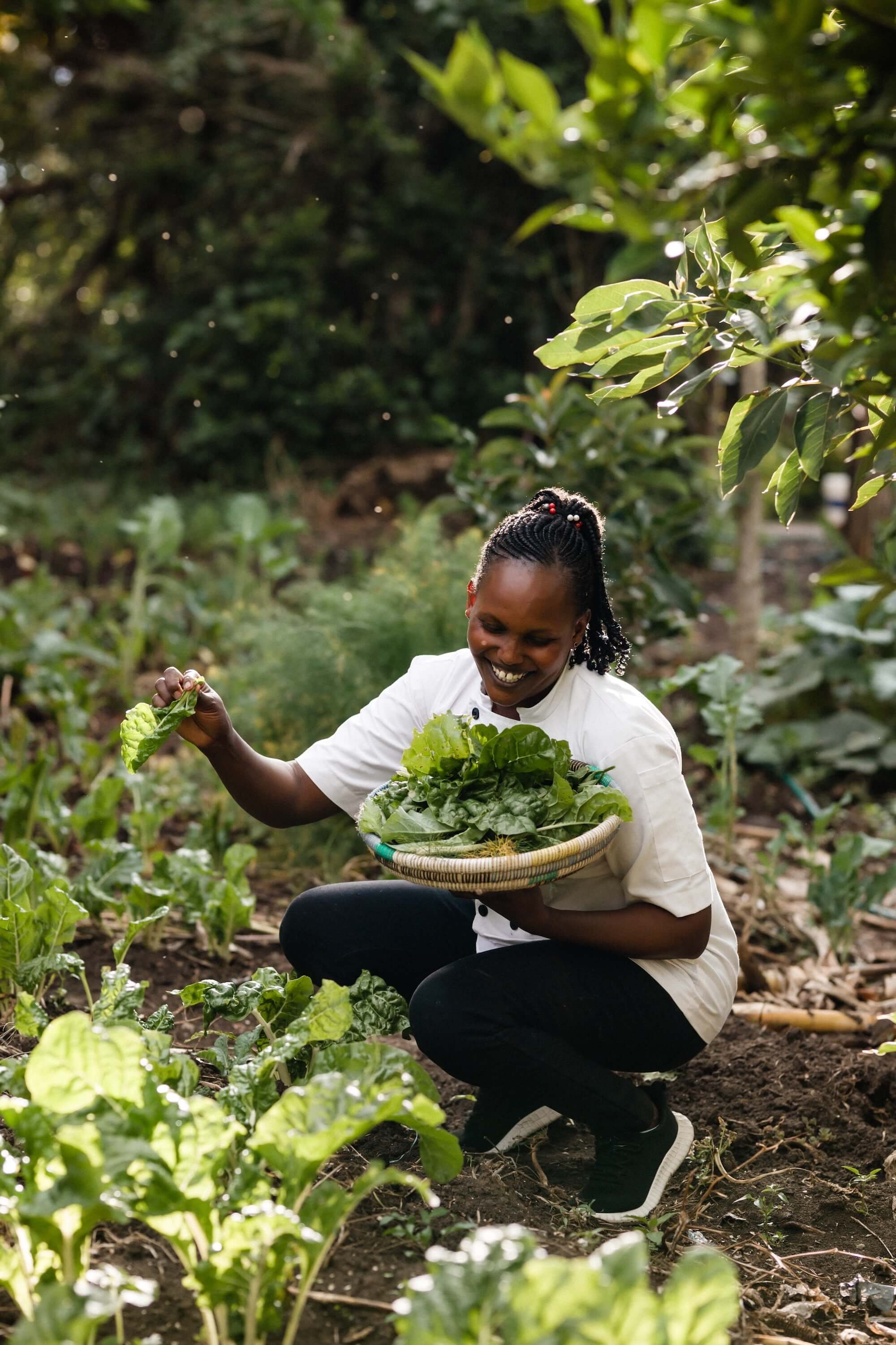 Organic food at Ol Pejeta Safari Cottages, Kenya