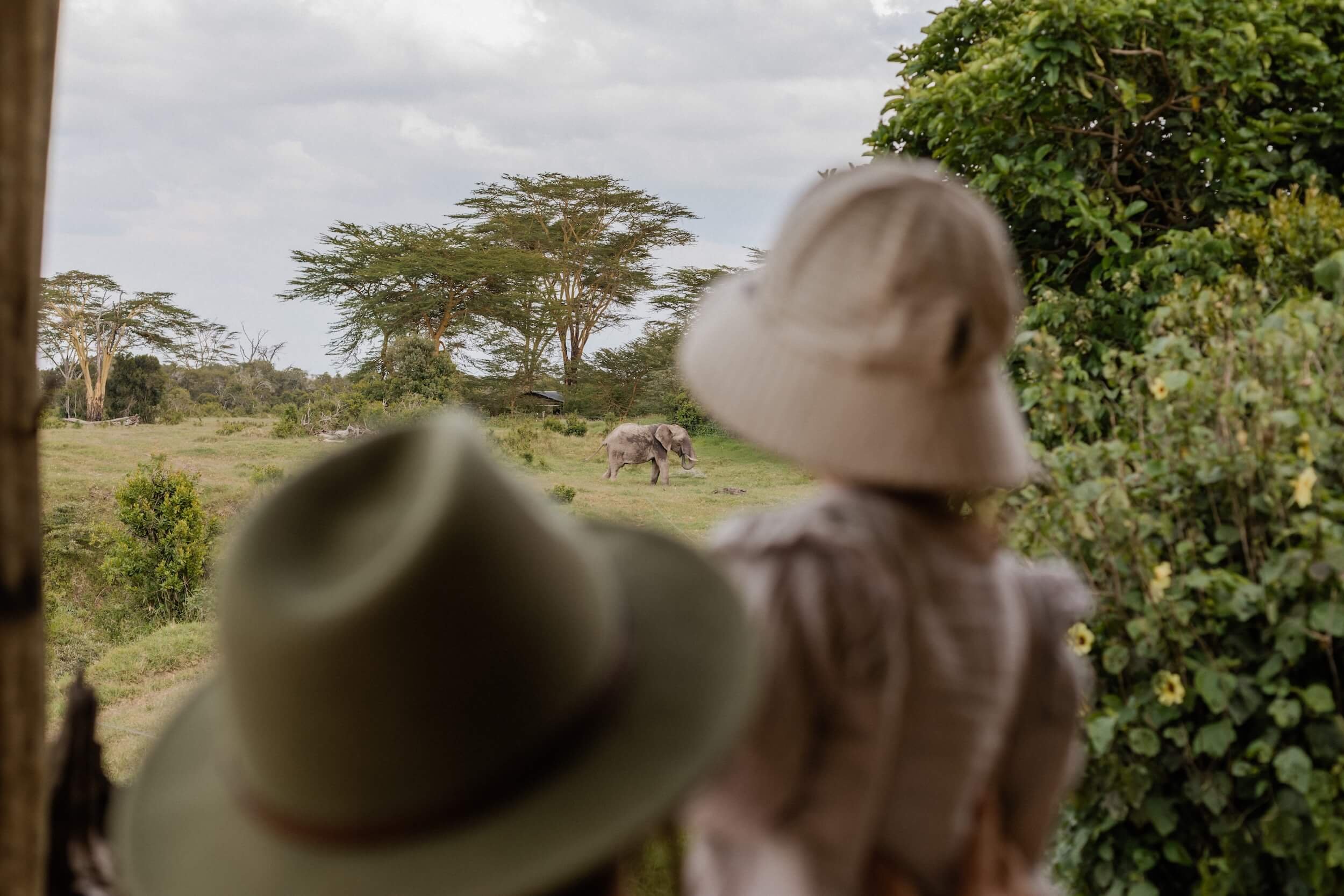 Family watching an elephant at The Safari Cottages, Kenya