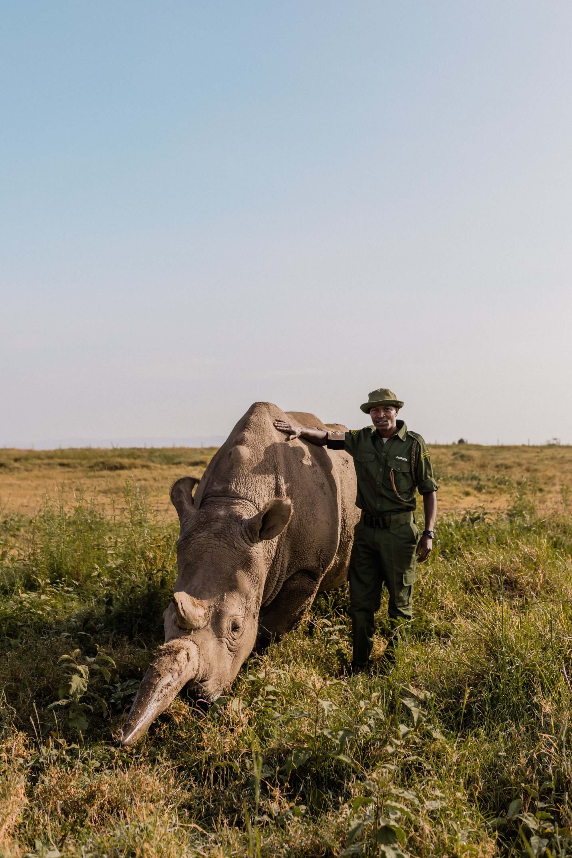 Ol Pejeta's Northern White Rhinos