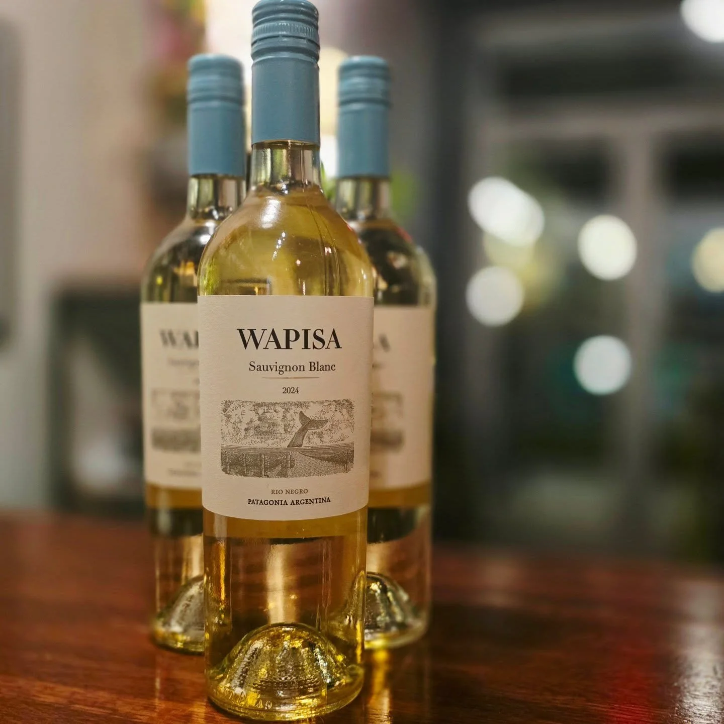 If you love a Sauvignon Blanc with personality and a little coastal flair, this one&rsquo;s going to be your new favorite.

Say hello to a fresh splash on our pour list! Wapisa Sauvignon Blanc&mdash;straight from the cool coastal winds of Patagonia&m