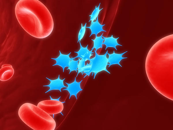 platelets.jpeg