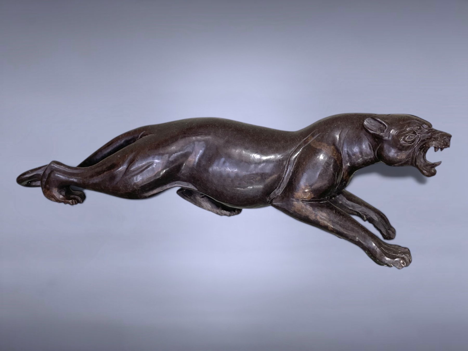"Black Leopard" 