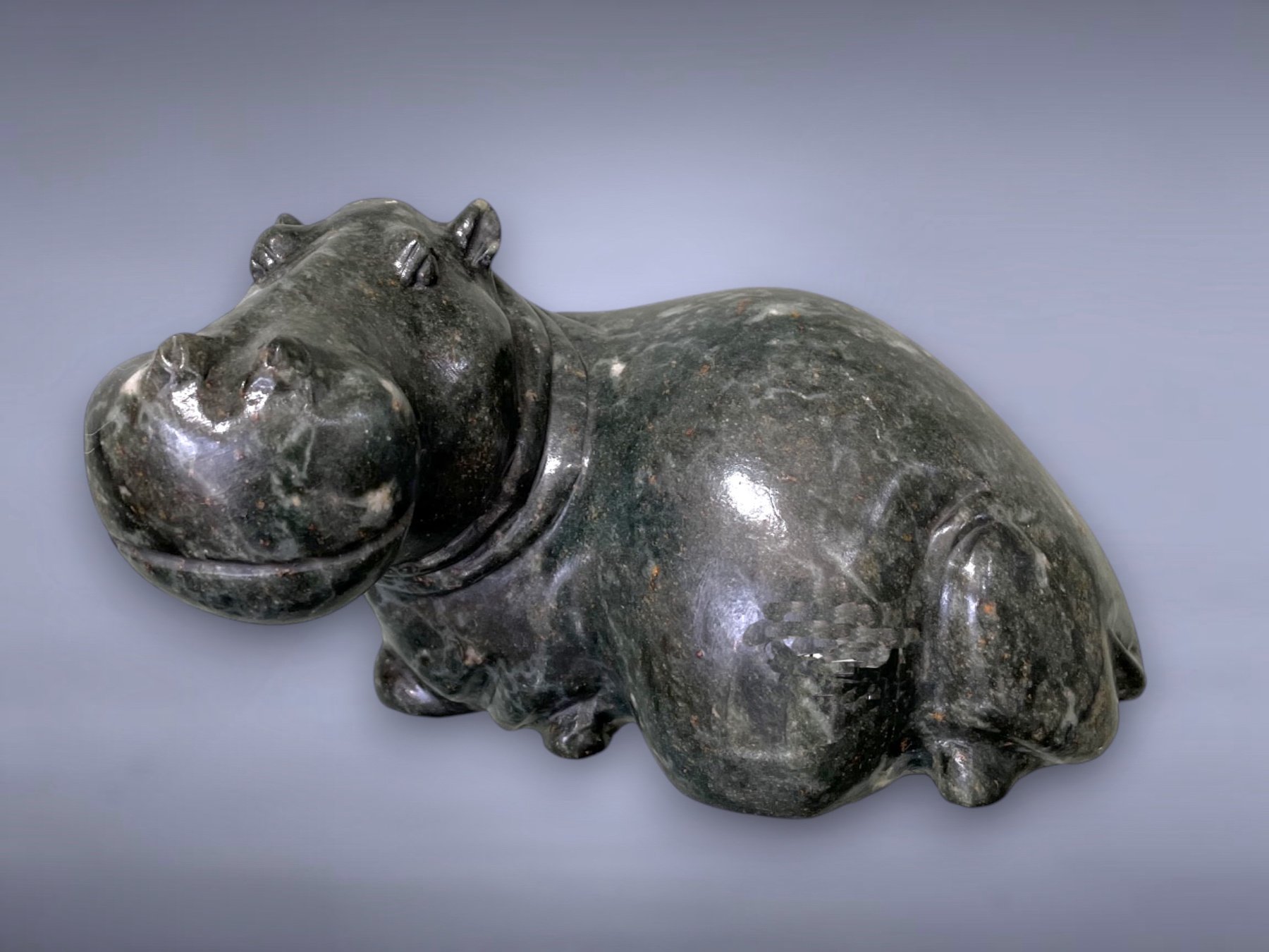 "Hippo" 