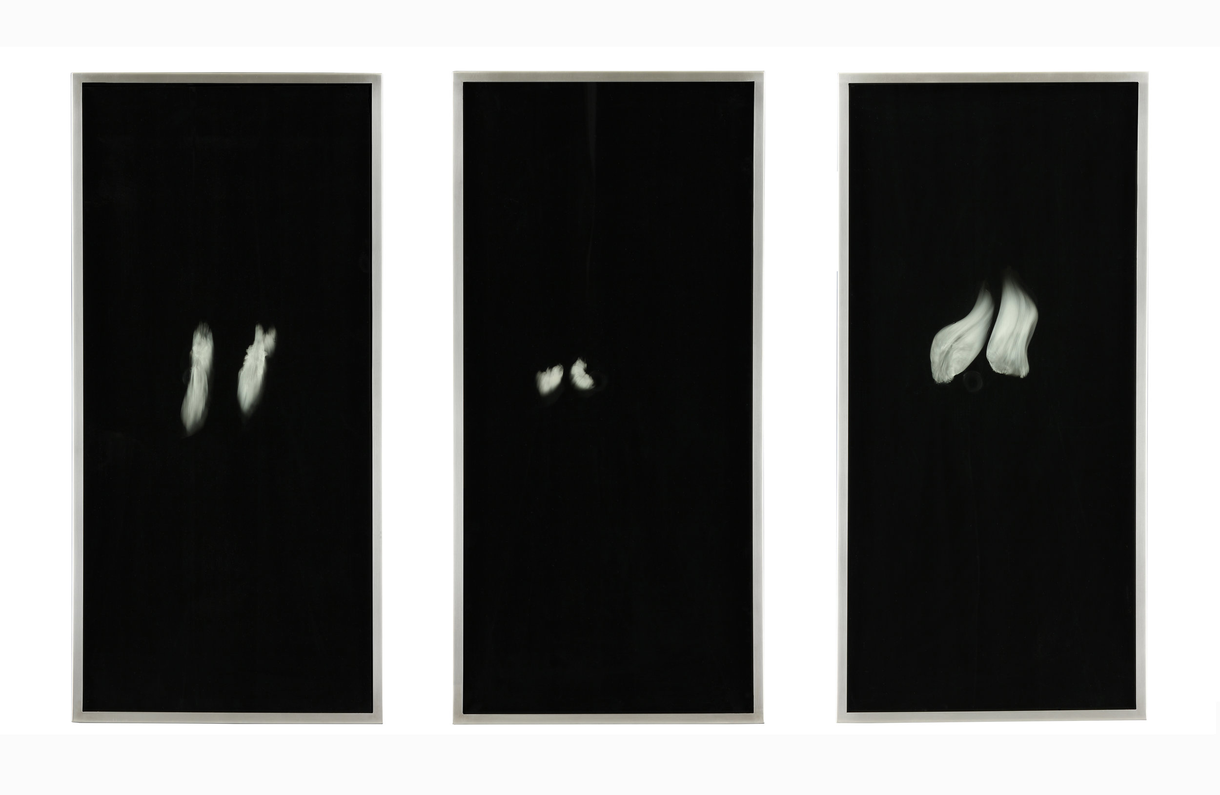 Uncanny Likenesses of Fictitious Creatures. Silver on glass. 36 x 58 inches, 2013.