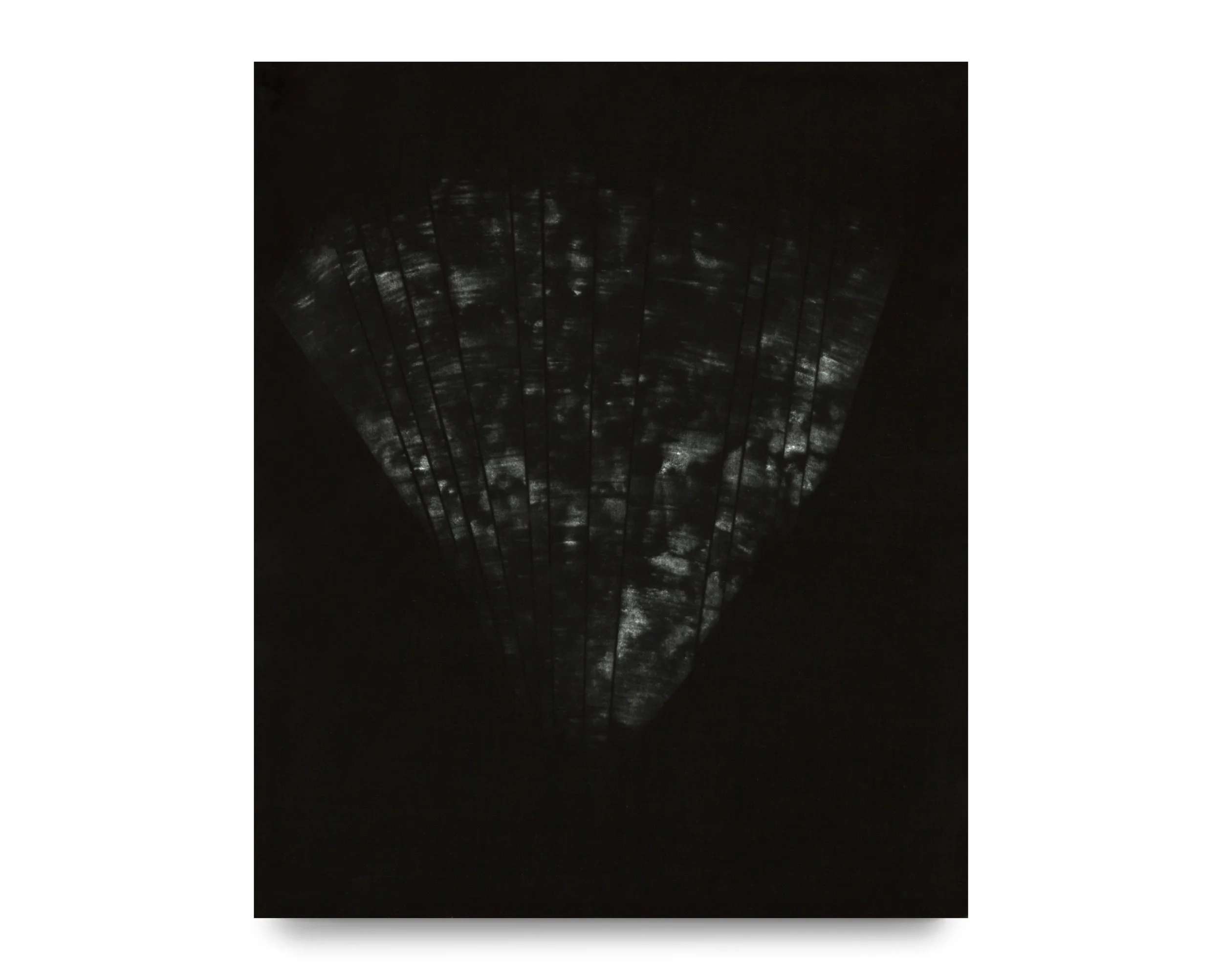 Untitled. Unique silver gelatin photogram. 24 x 20 inches. 2019.