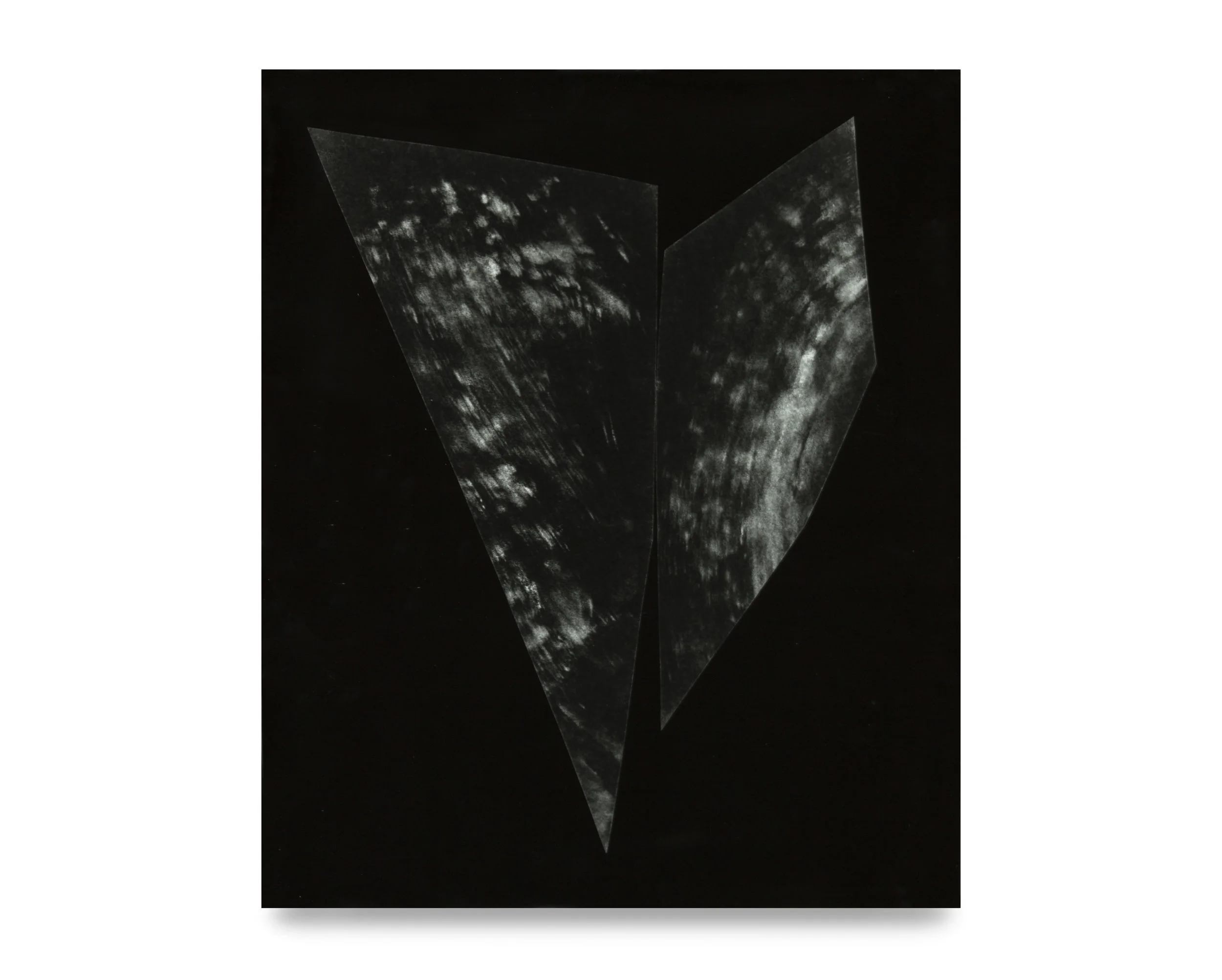 Untitled. Unique silver gelatin photogram. 24 x 20 inches. 2019.