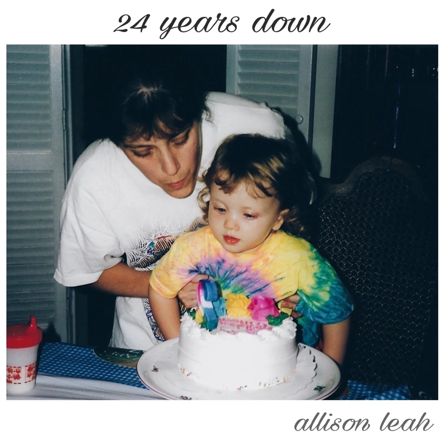 24 years down cover.JPEG