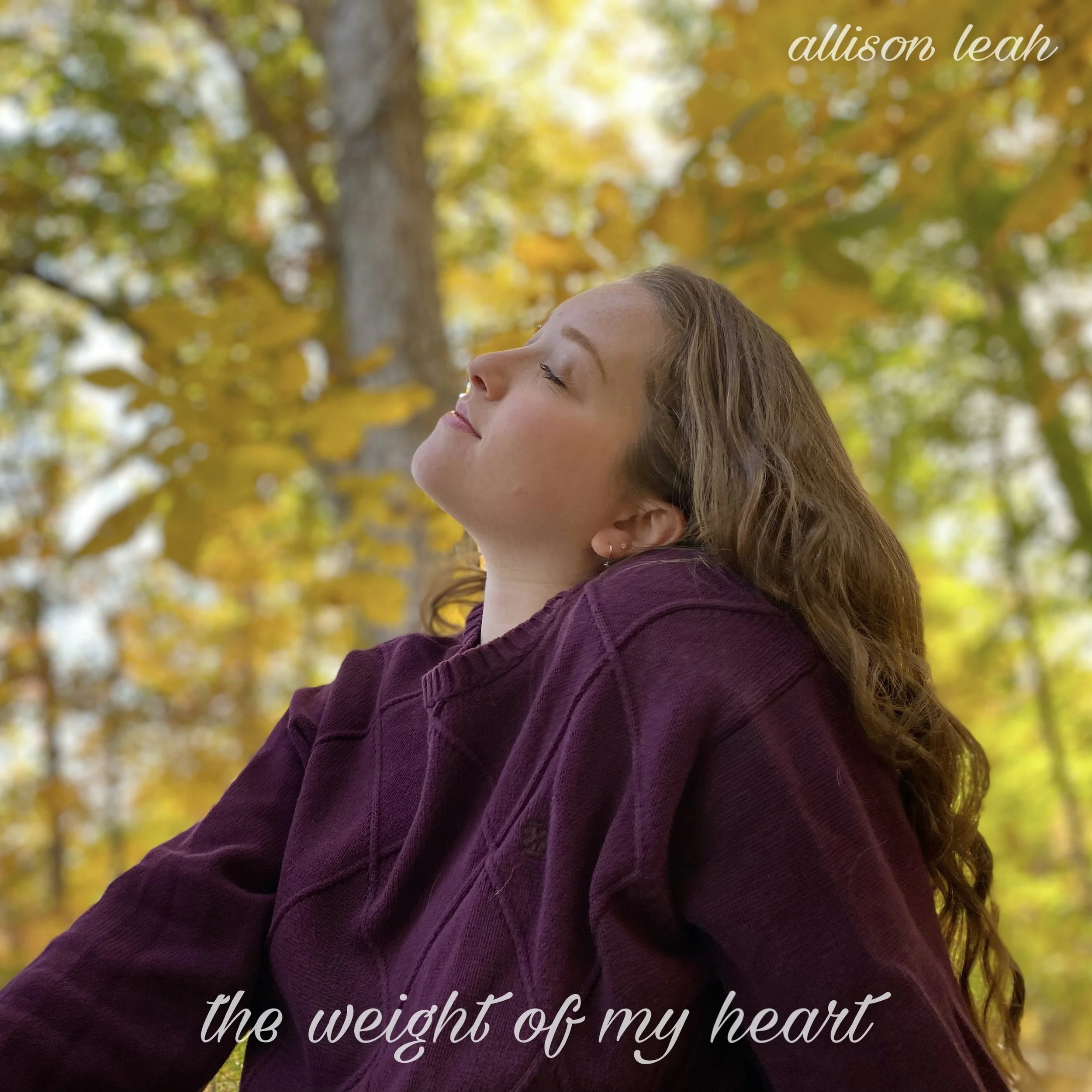 the weight of my heart - Allison Leah (Album)