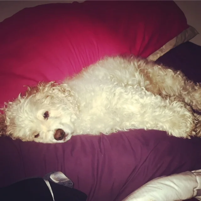 Create a Morning Routine