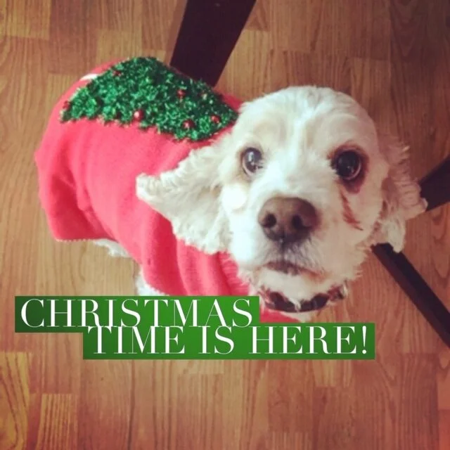 Christmas Time is Here!