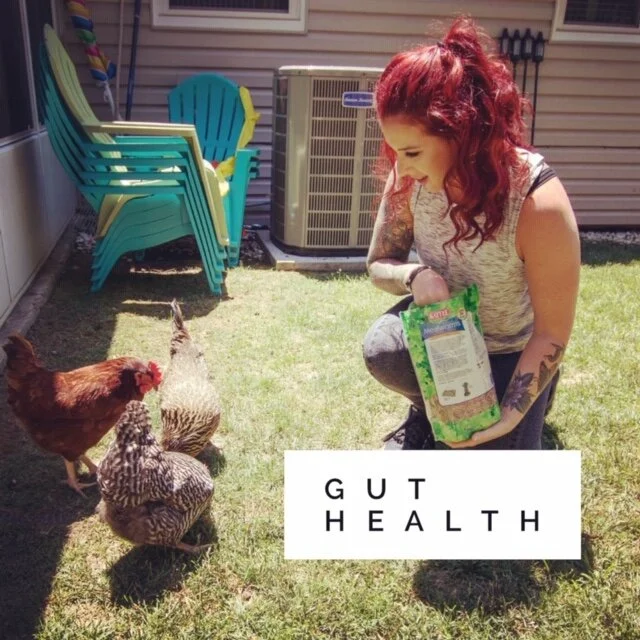 Gut Health