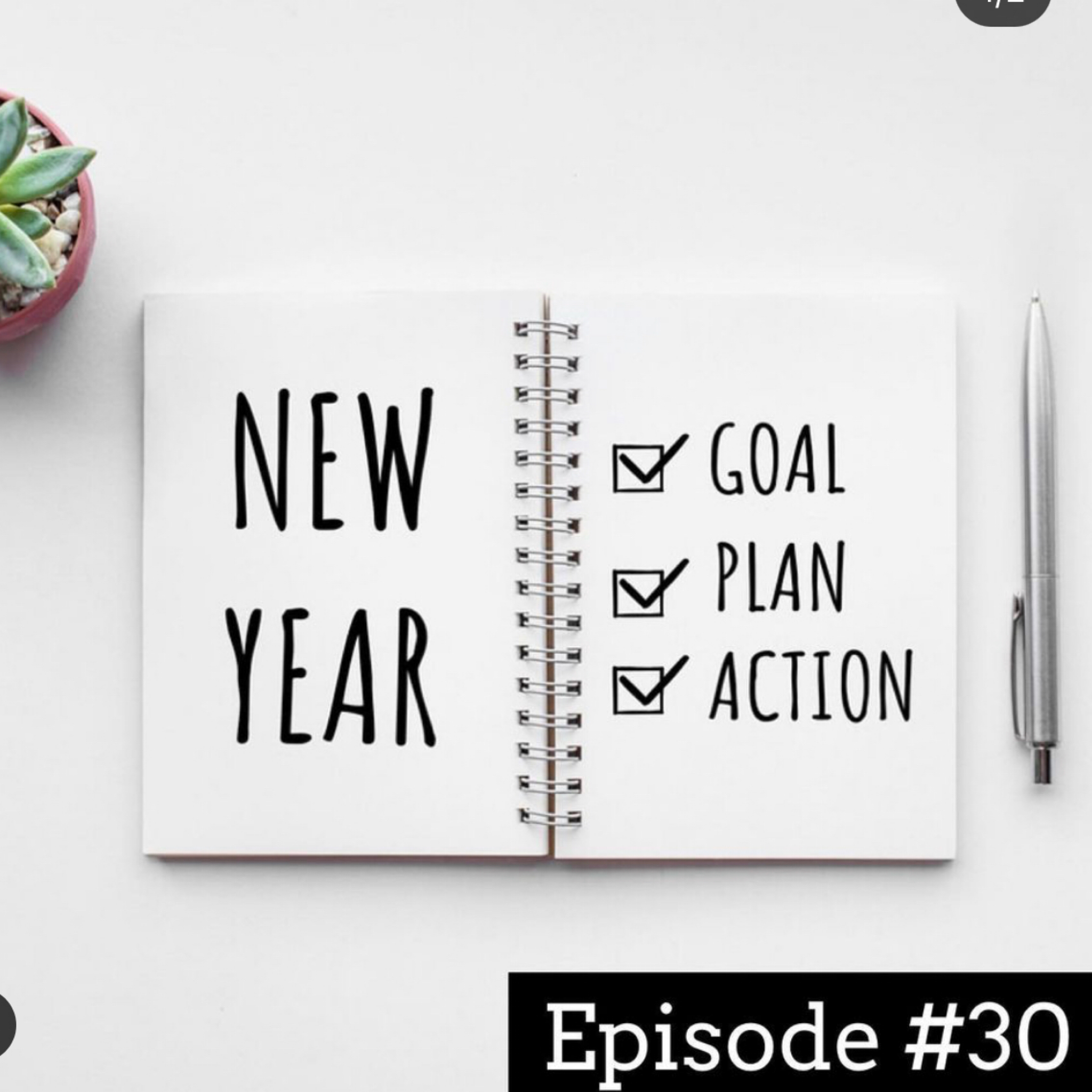 How We Really Feel About New Year’s Resolutions , Episode #30