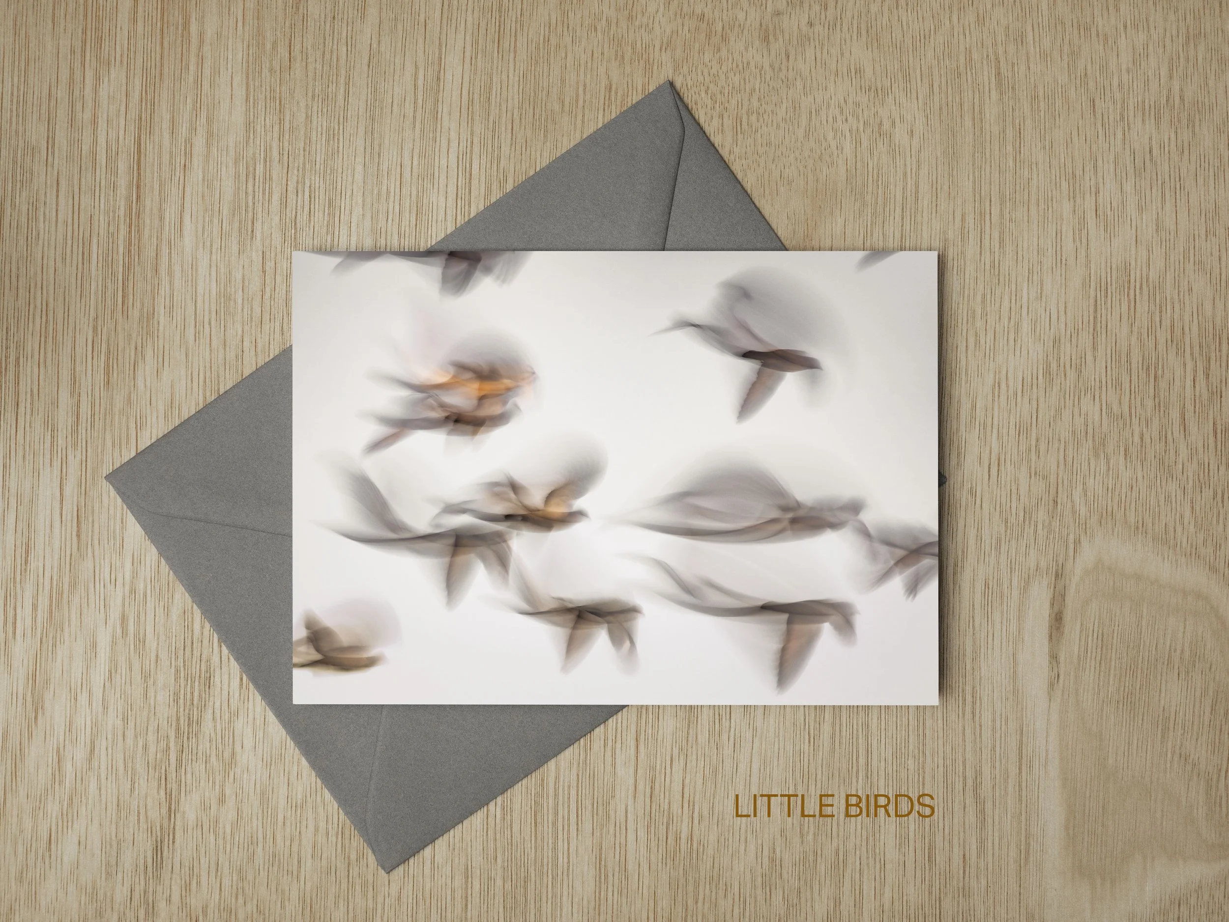 GC2026New-LittleBirds.jpg