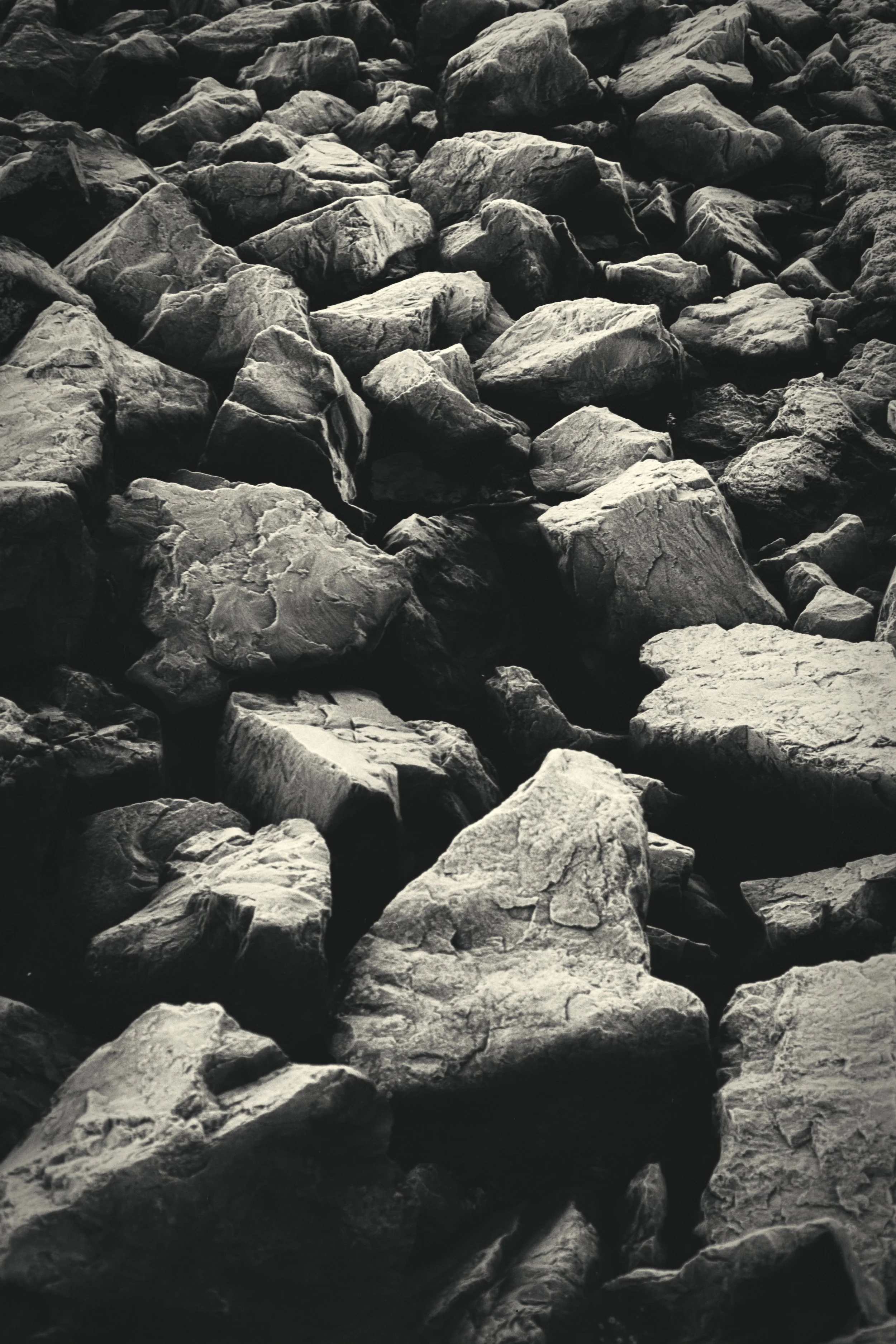 fragmented + frozen - ferrania p30 135