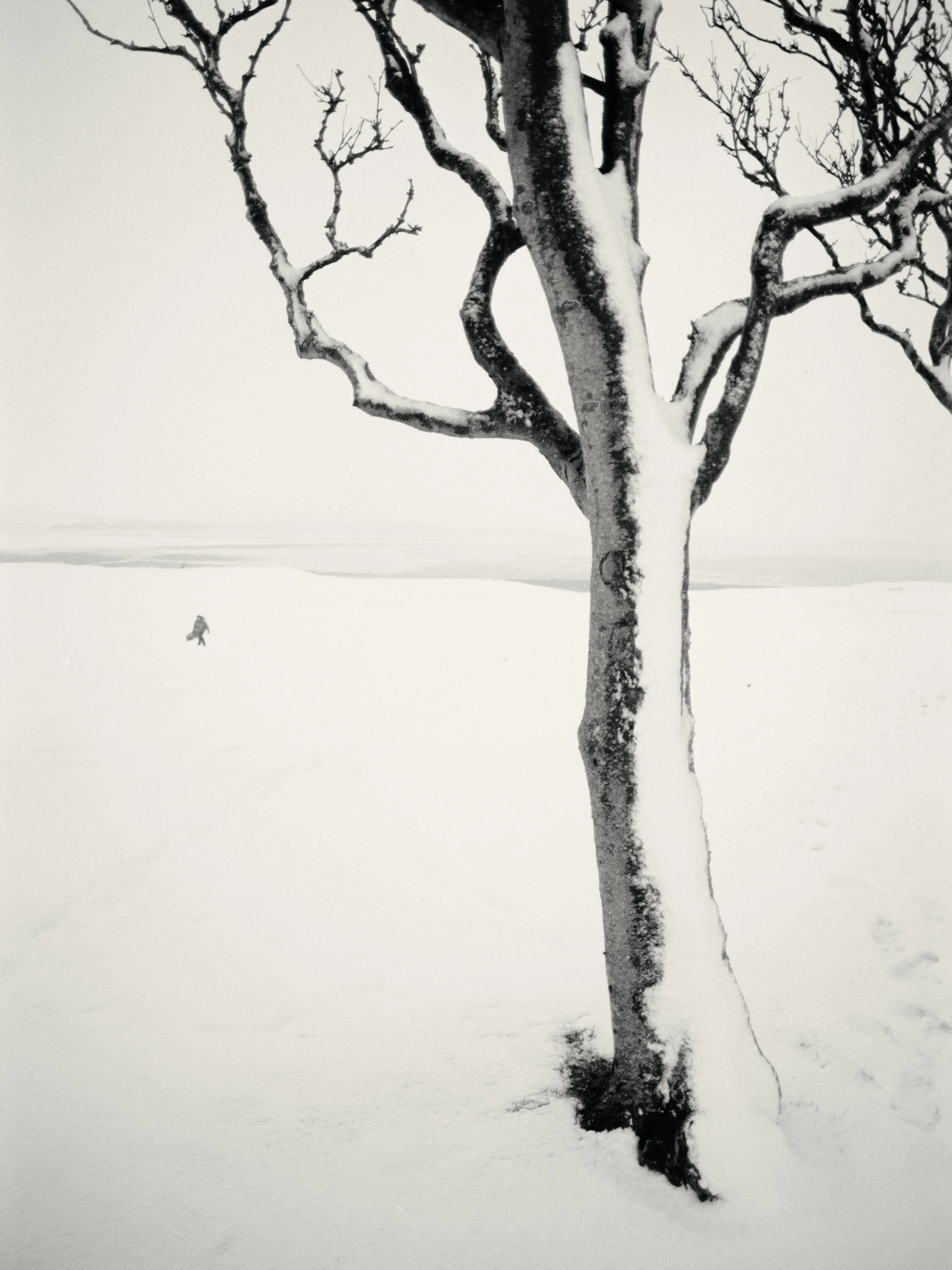 i think i saw him again - fuji neopan acros 135