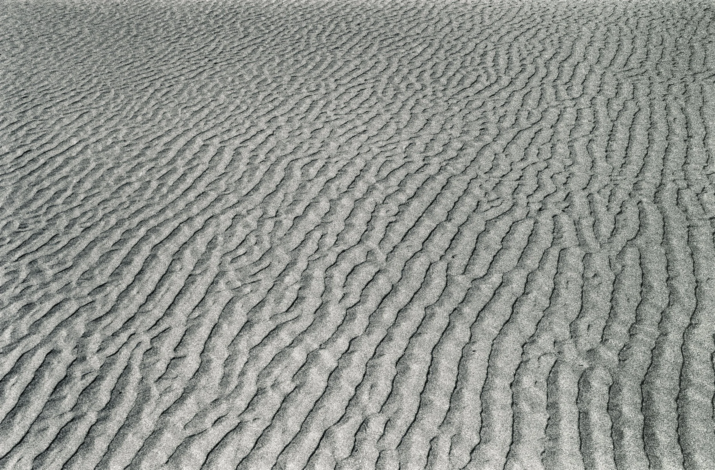 impermanent print - ilford hp5 135