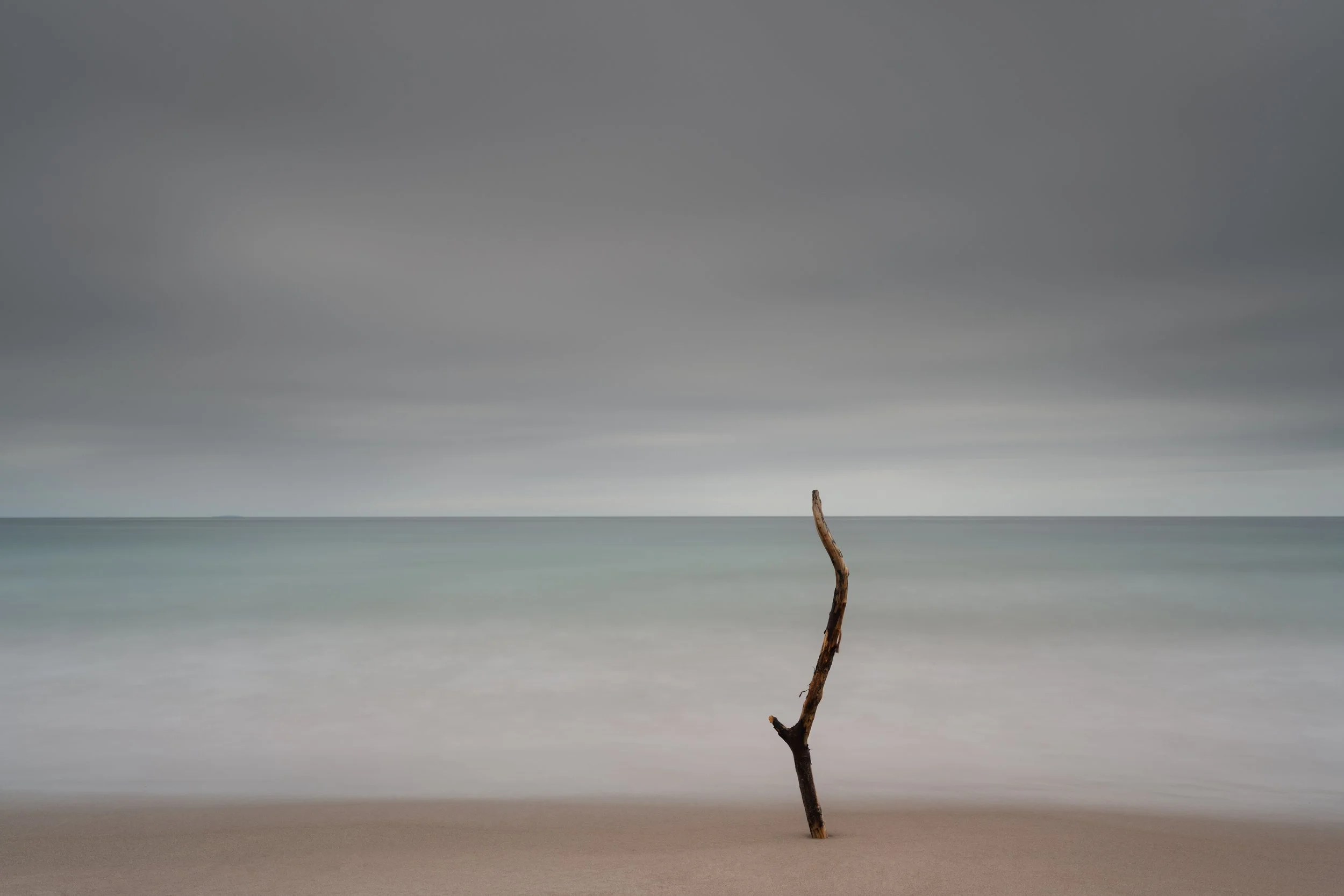 whitesands branch - 2022-1.