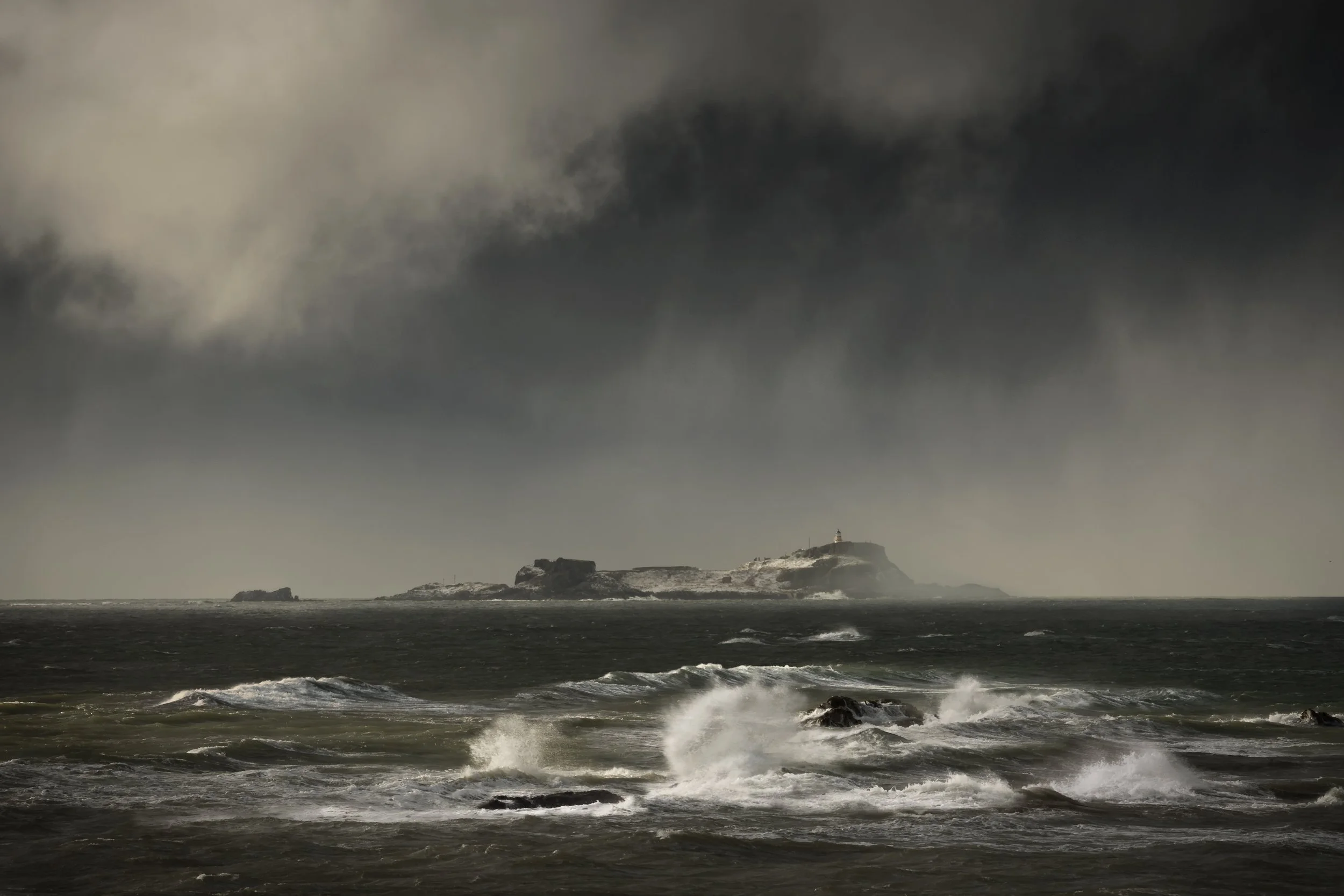 fidra &amp; the beast