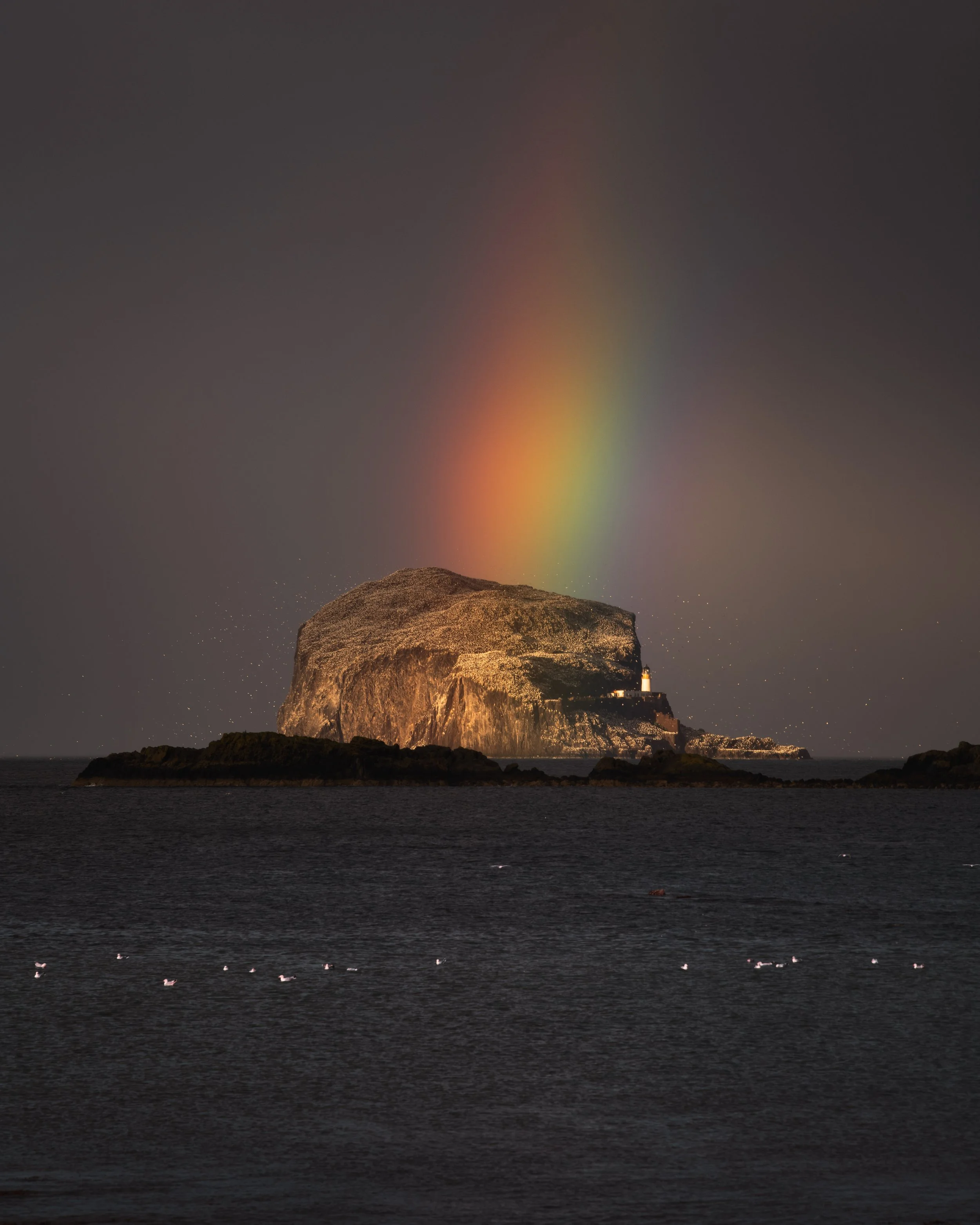 the dark side of the bass