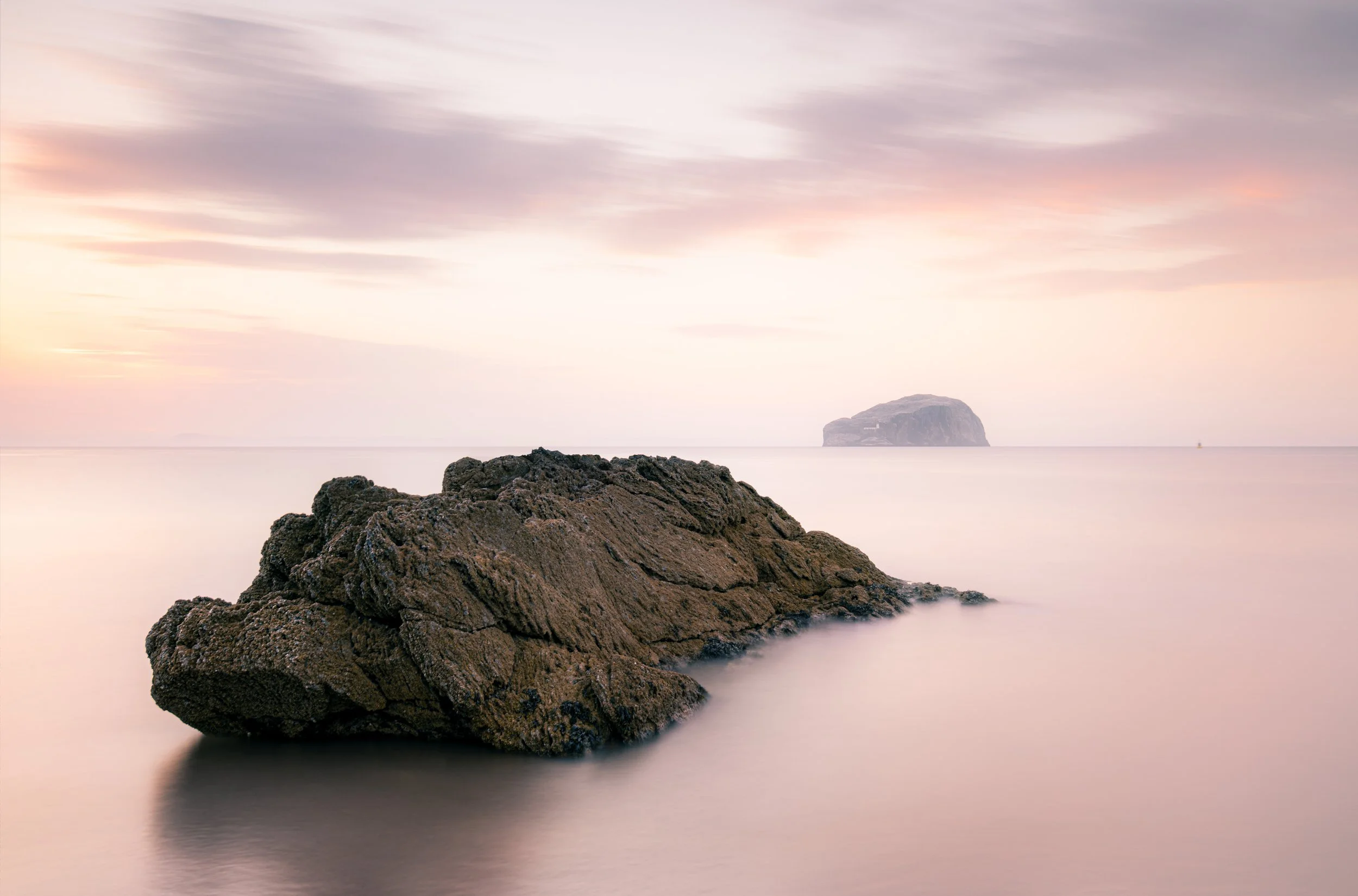 Seacliff Peach