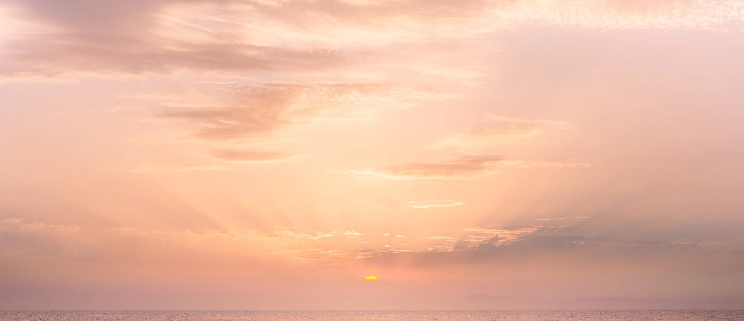 summer sunset panorama