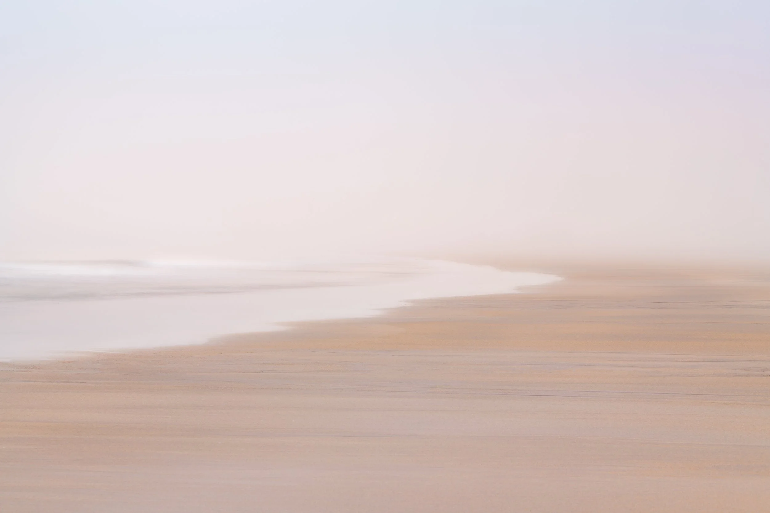mislay morning mist