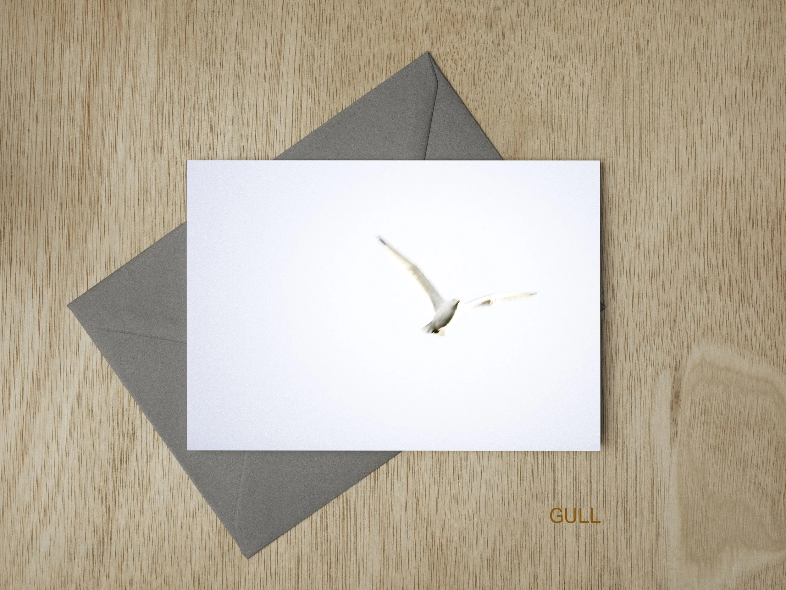 GC2026New-Gull.jpg