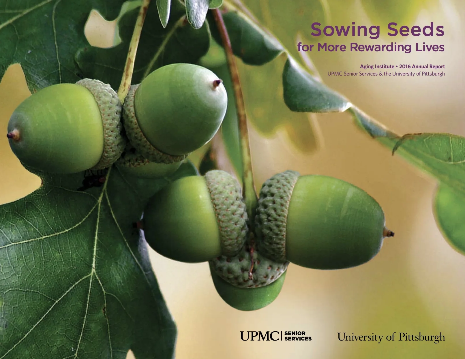 Aging Institute Cover.jpg