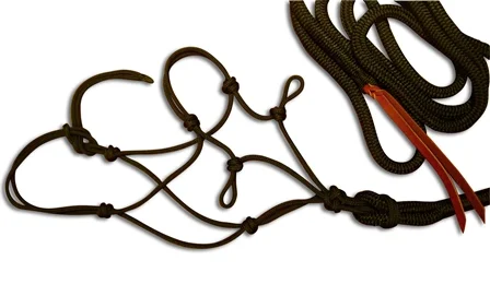 All-In-One Bitless Bridle