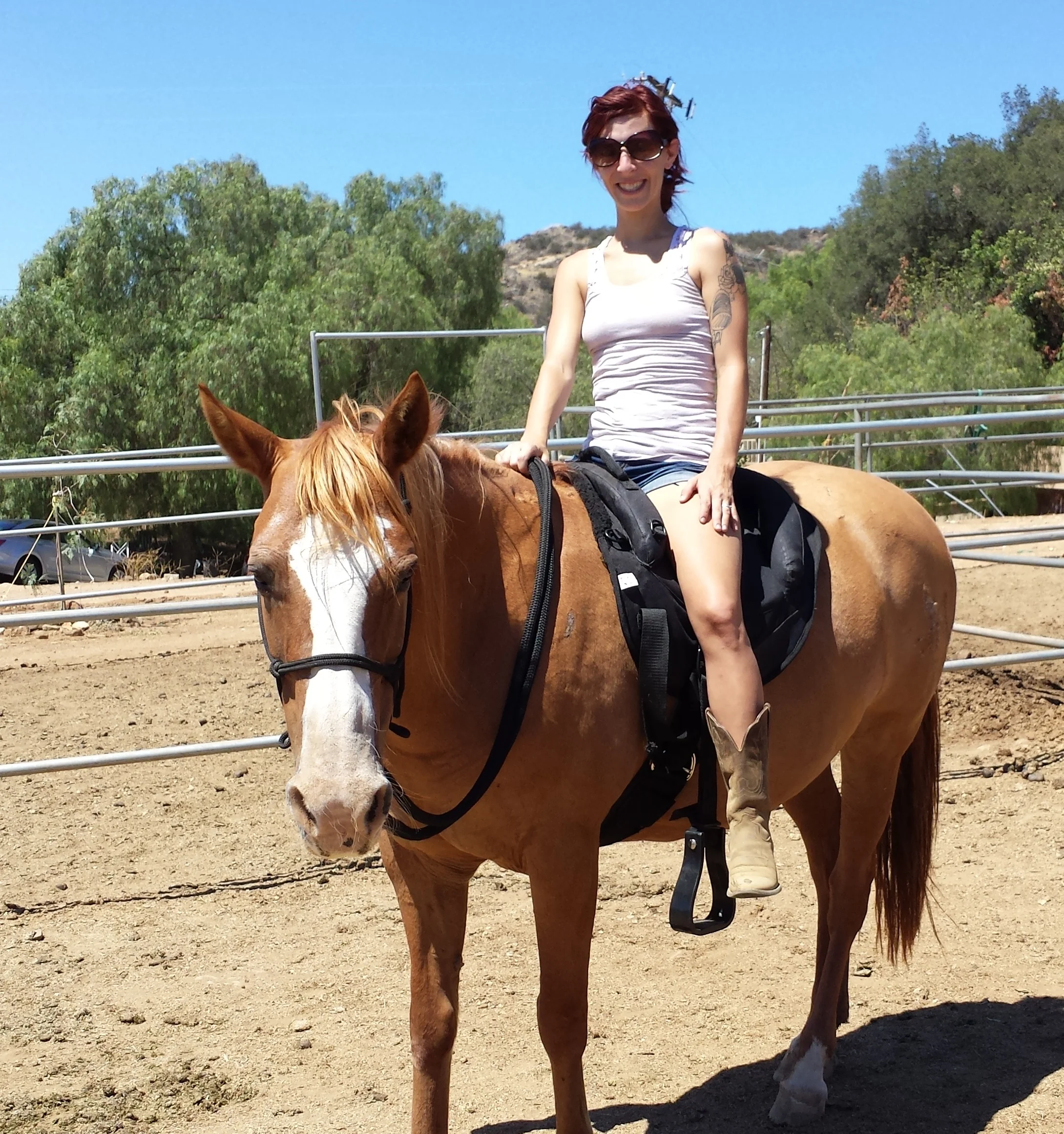 Molly's First Ride