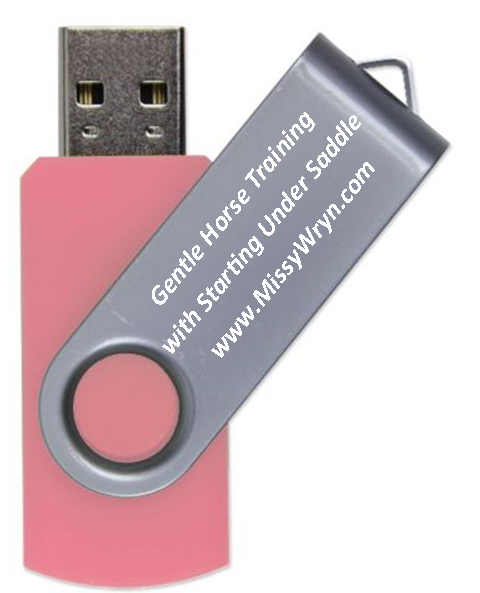 Pink Flash Drive.png