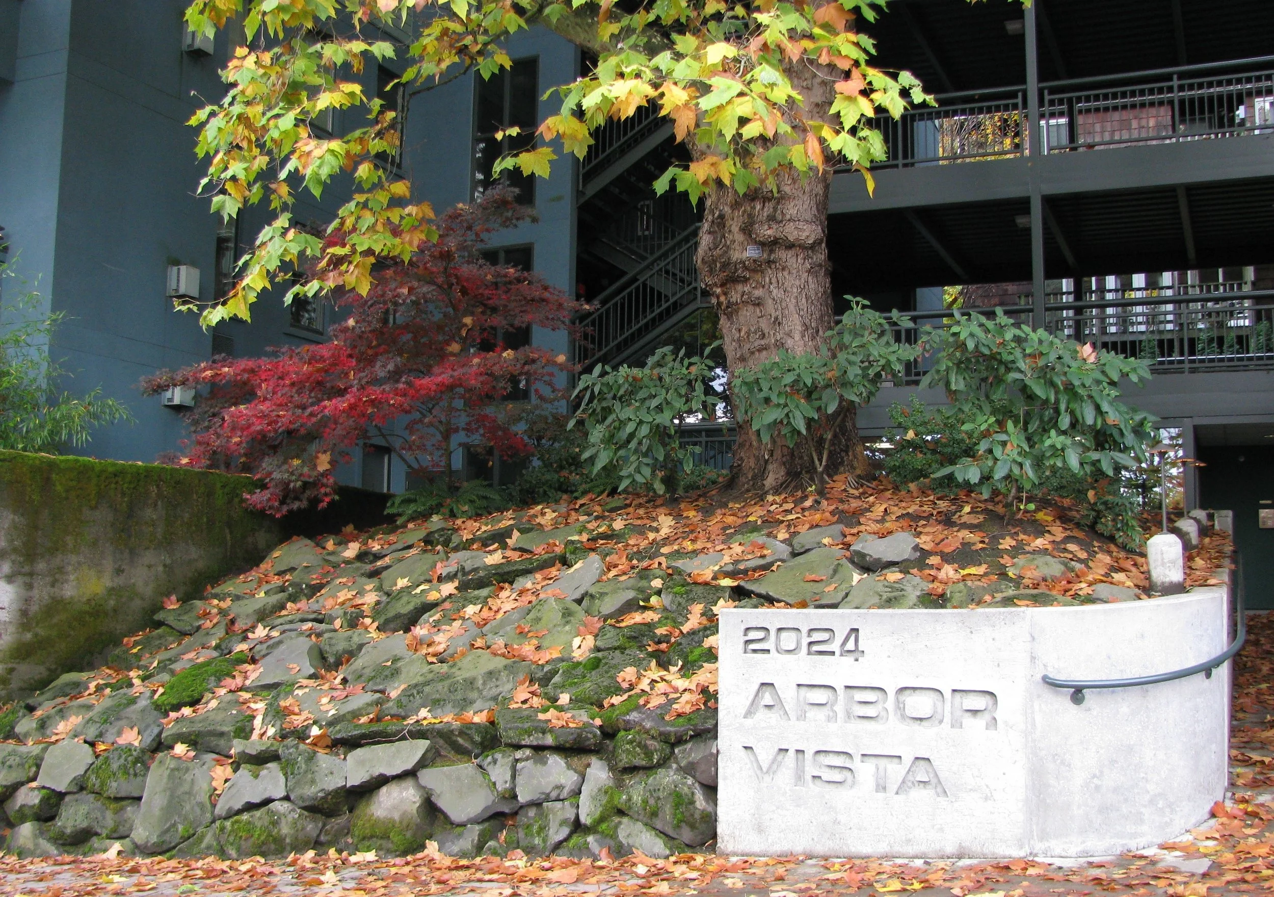 Arbor Vista Nov 08 010.jpg
