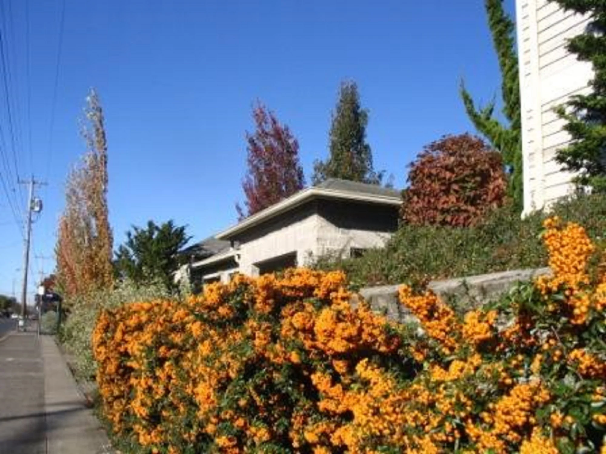 LENTS VILLAGE.jpg