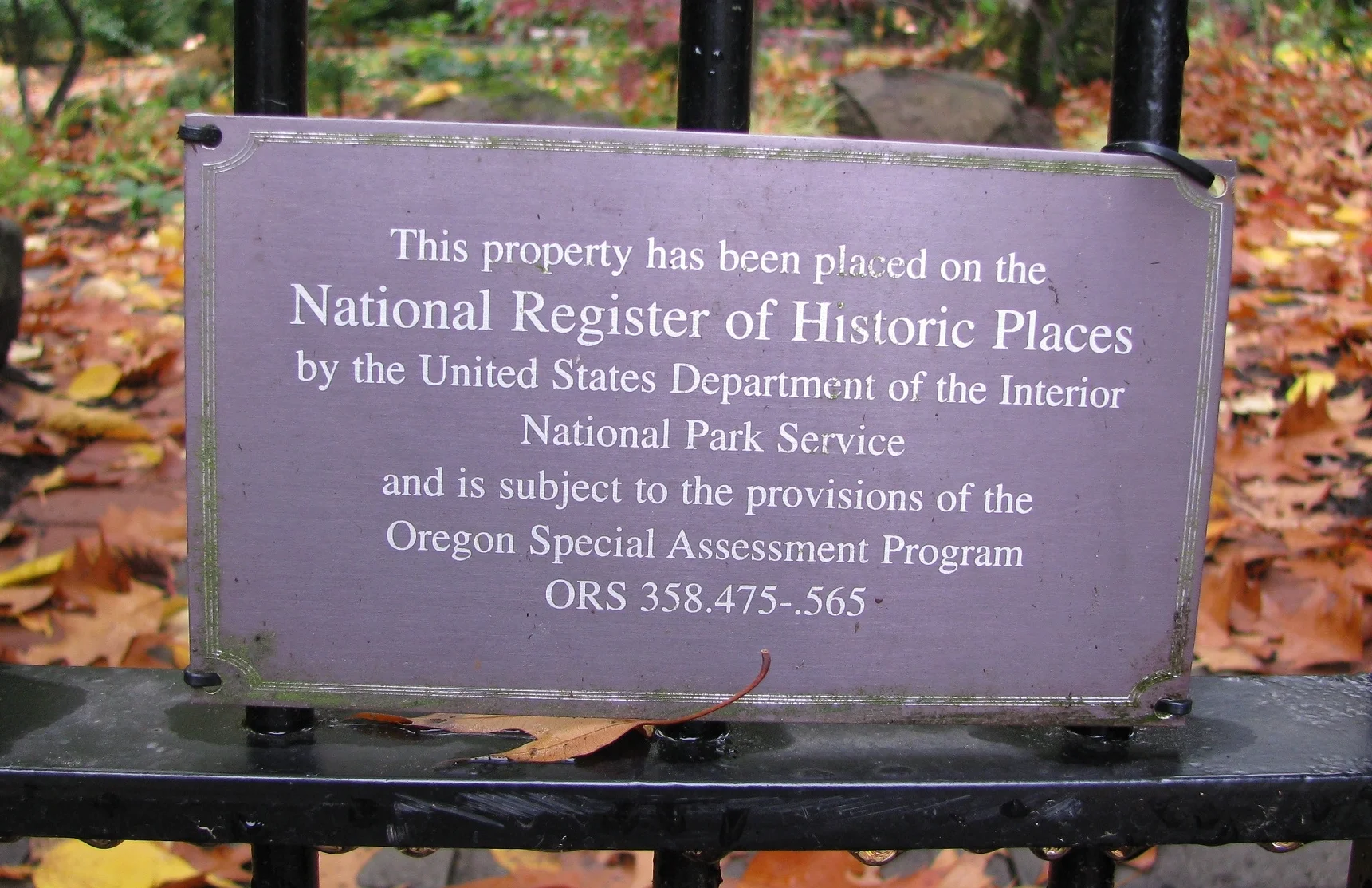 Lynch Garden Nov 08 059.jpg
