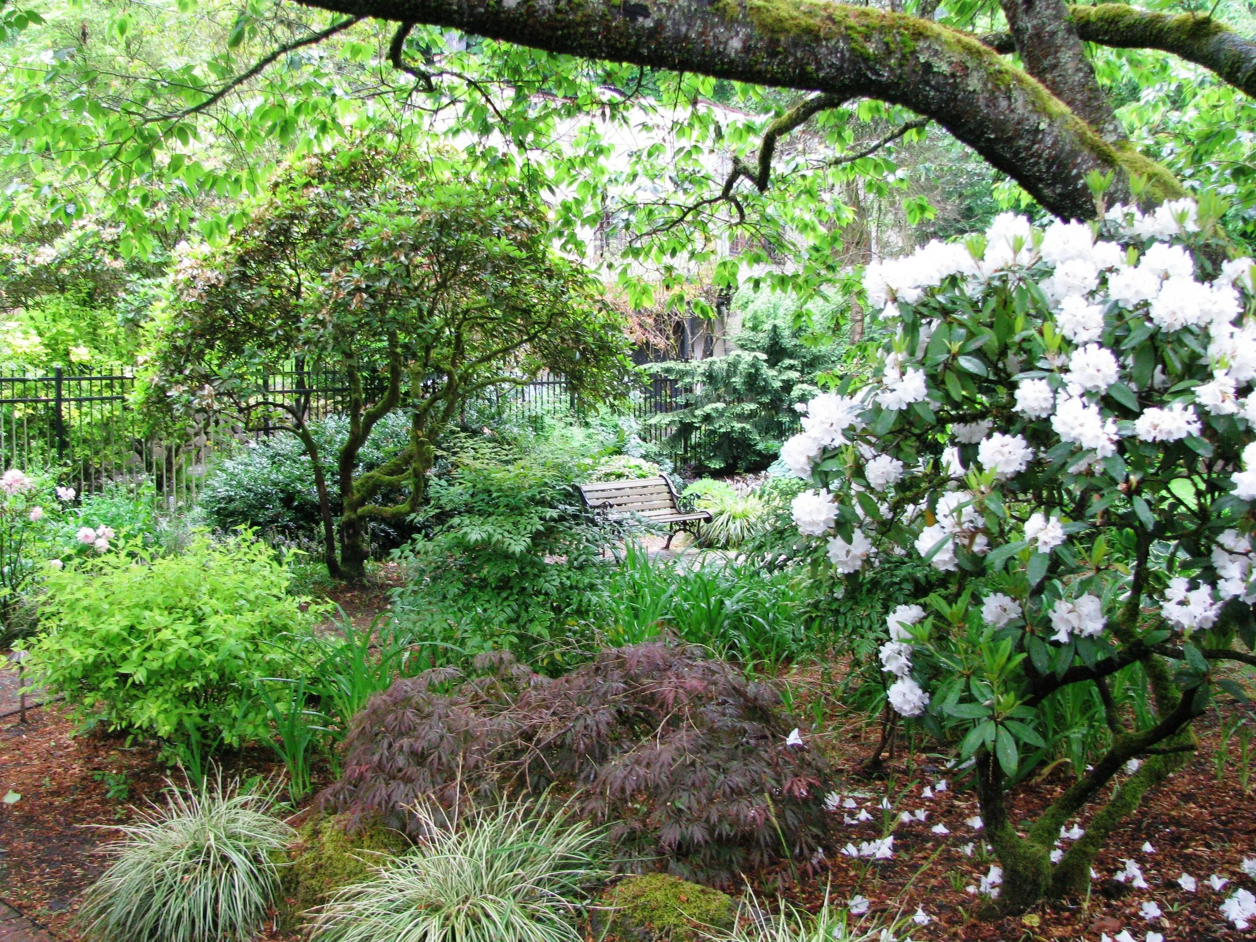 Lynch Garden May 2012 012.jpg