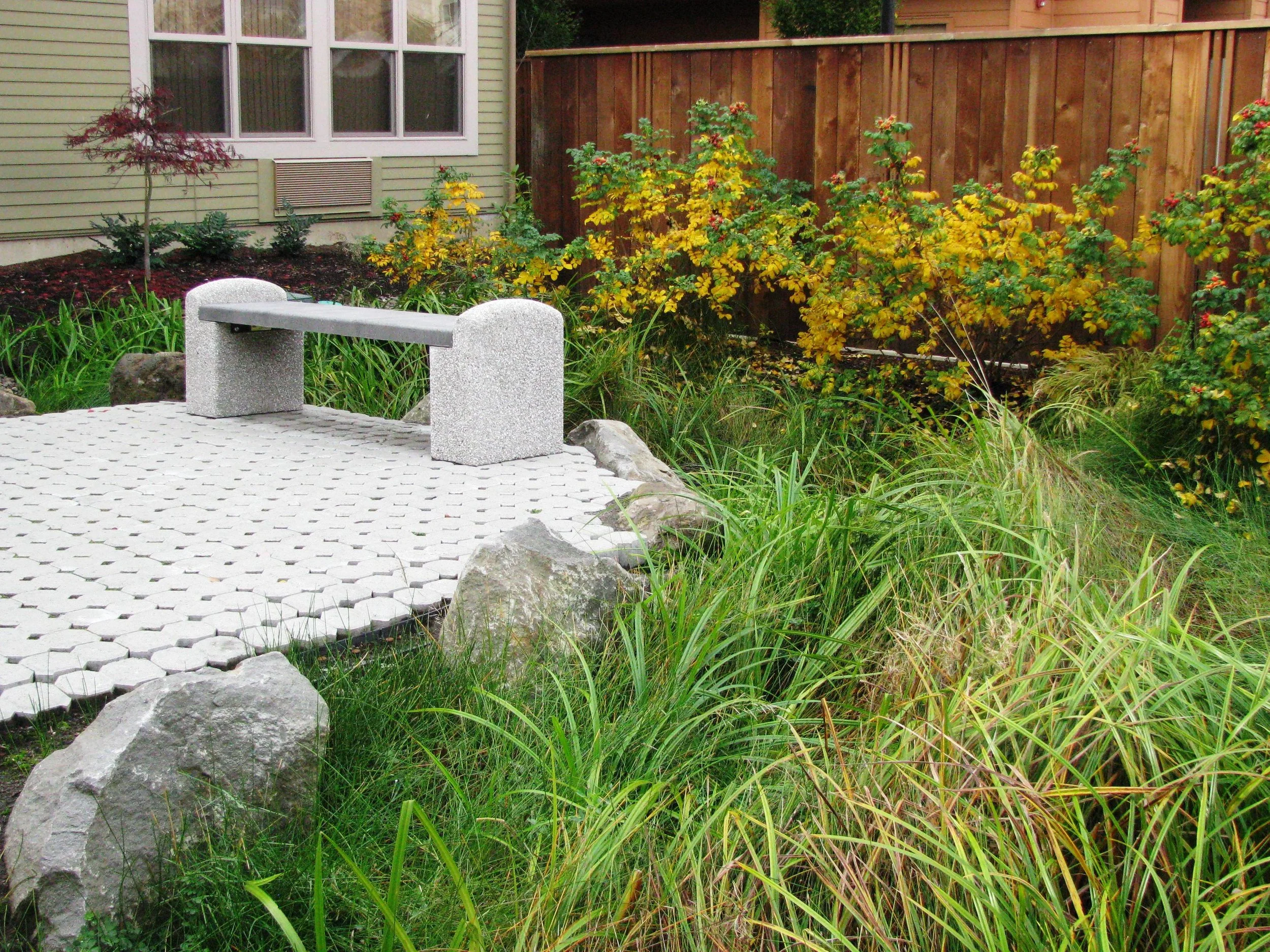 Raingarden 11-10-4.jpg