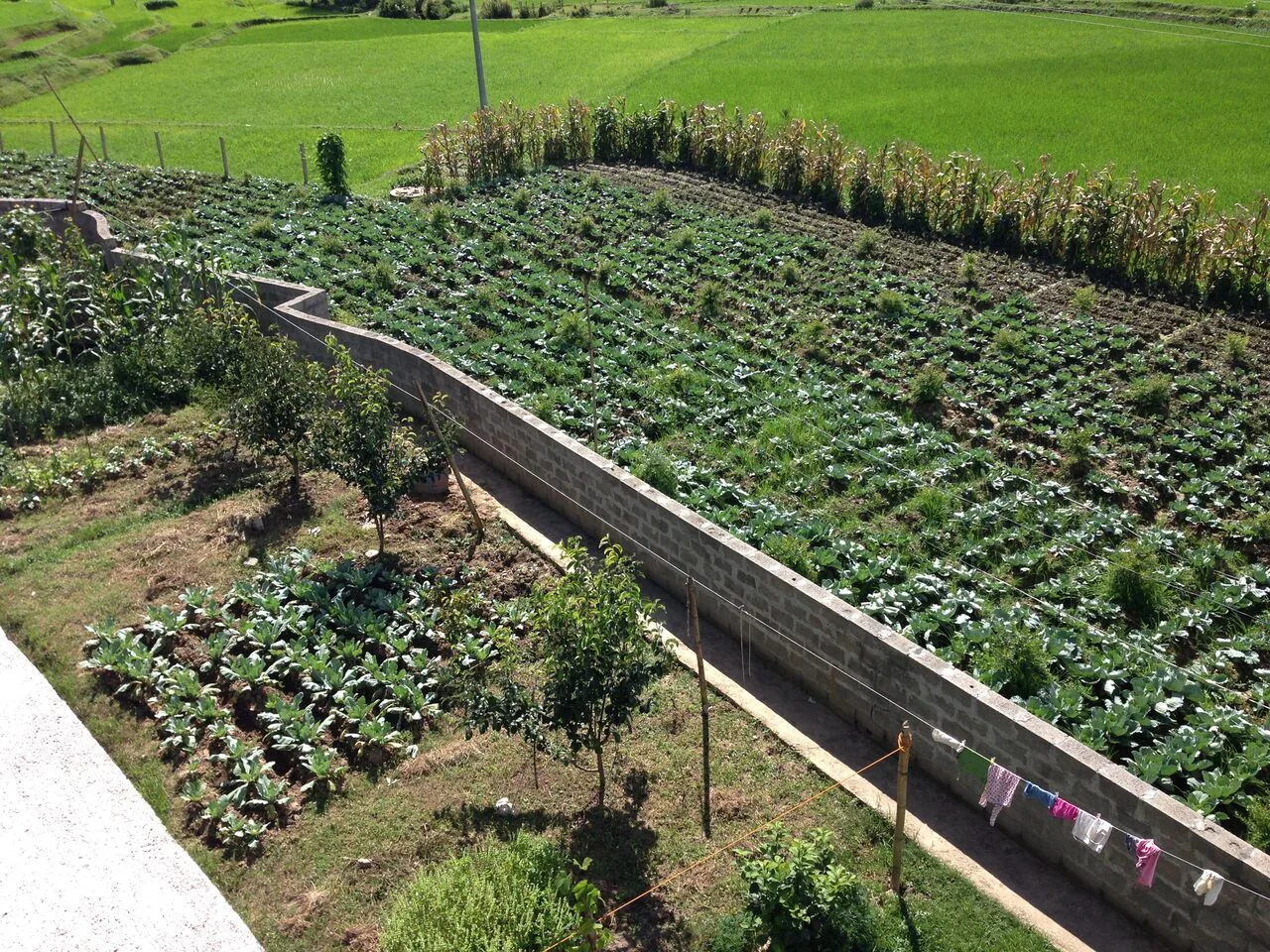 Mission Himalaya: Eco-farm and Orphanage