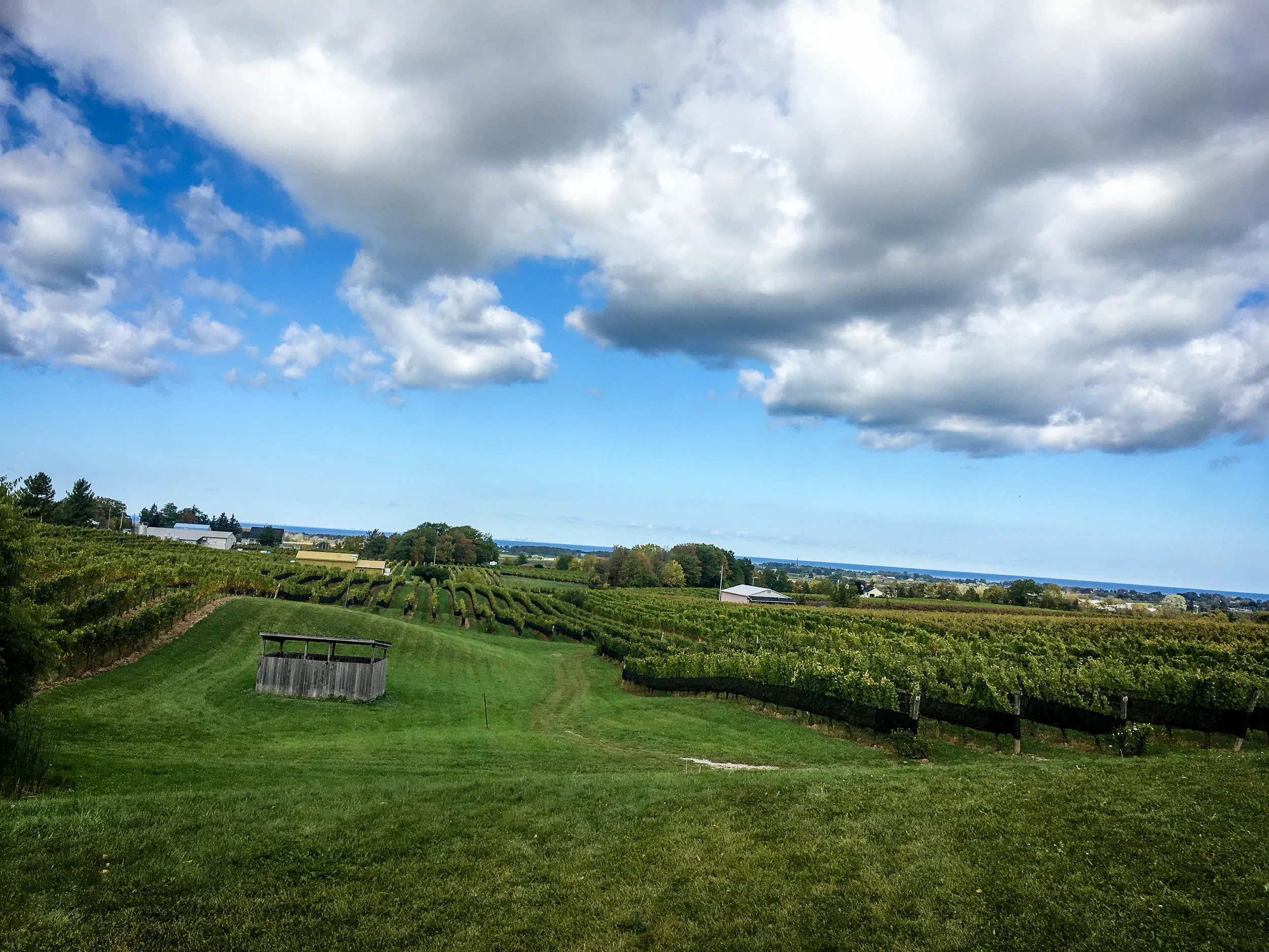 NOTL7.jpg